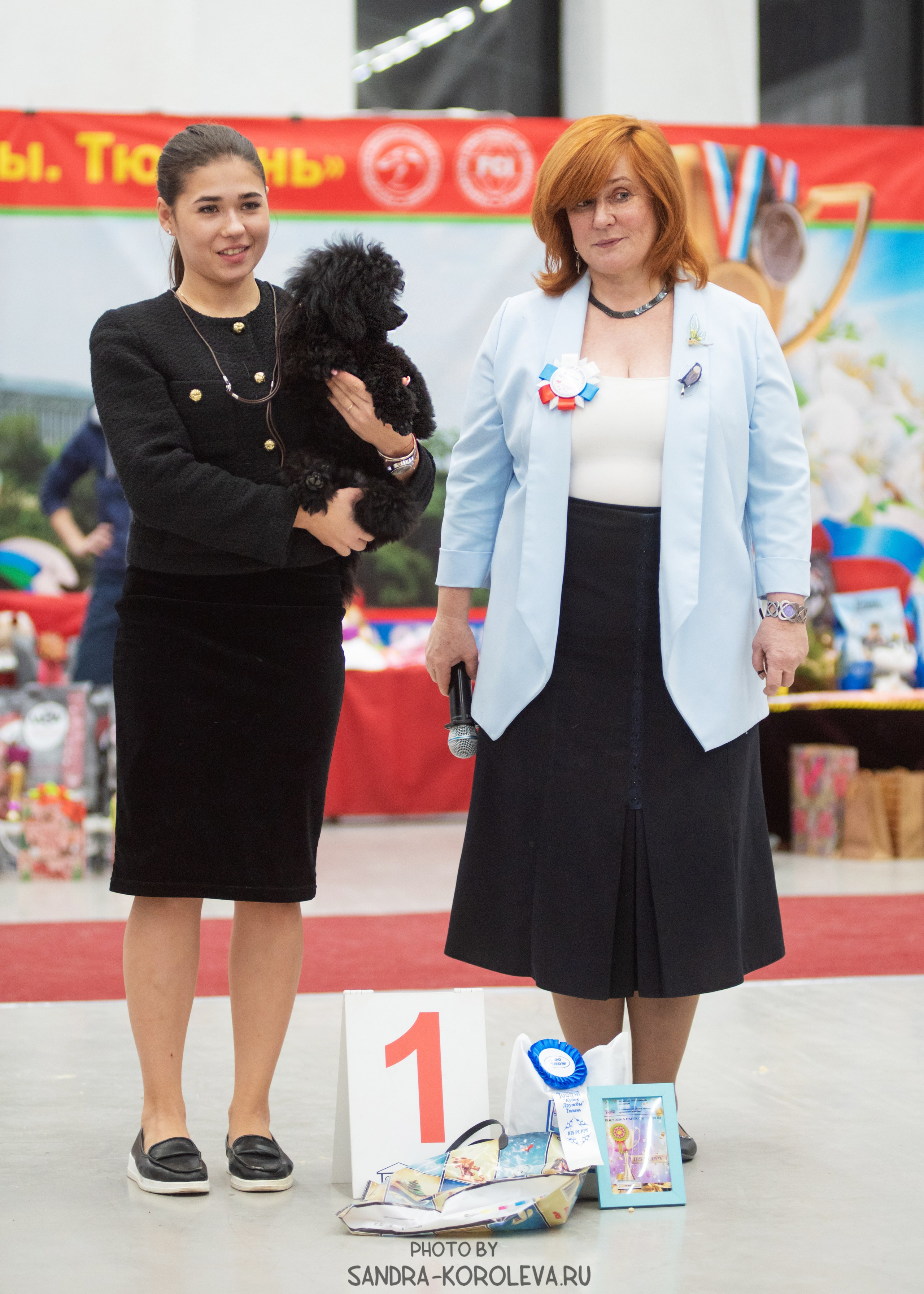 Выставка собак тюмень 10.12.2022. Дог-фотограф в Тюмени Александра Королева