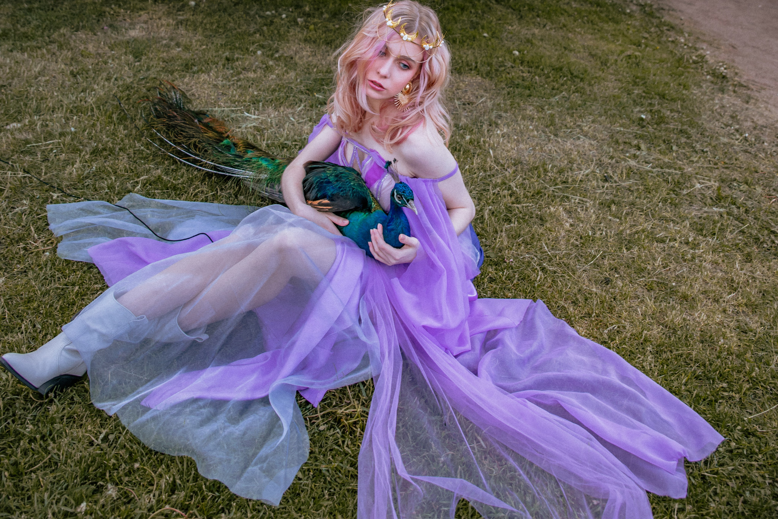 Павлин. Elena Sova — семейный и женский фотограф в Санкт-Петербурге