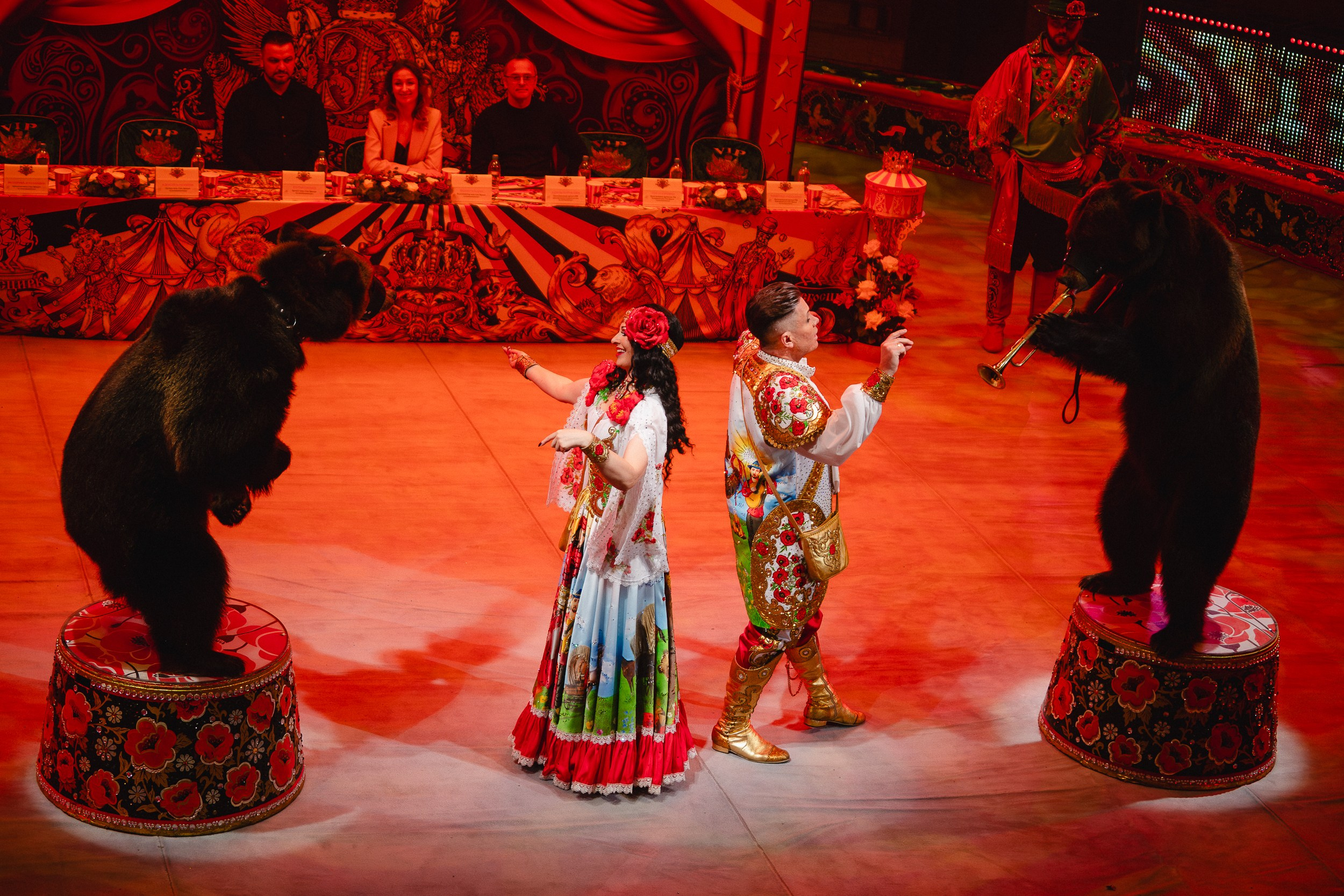 5 Континентов — Пресс-показ в Новосибирском Цирке. Воробьева Ксения — Спортивный и танцевальный фотограф Новосибирск