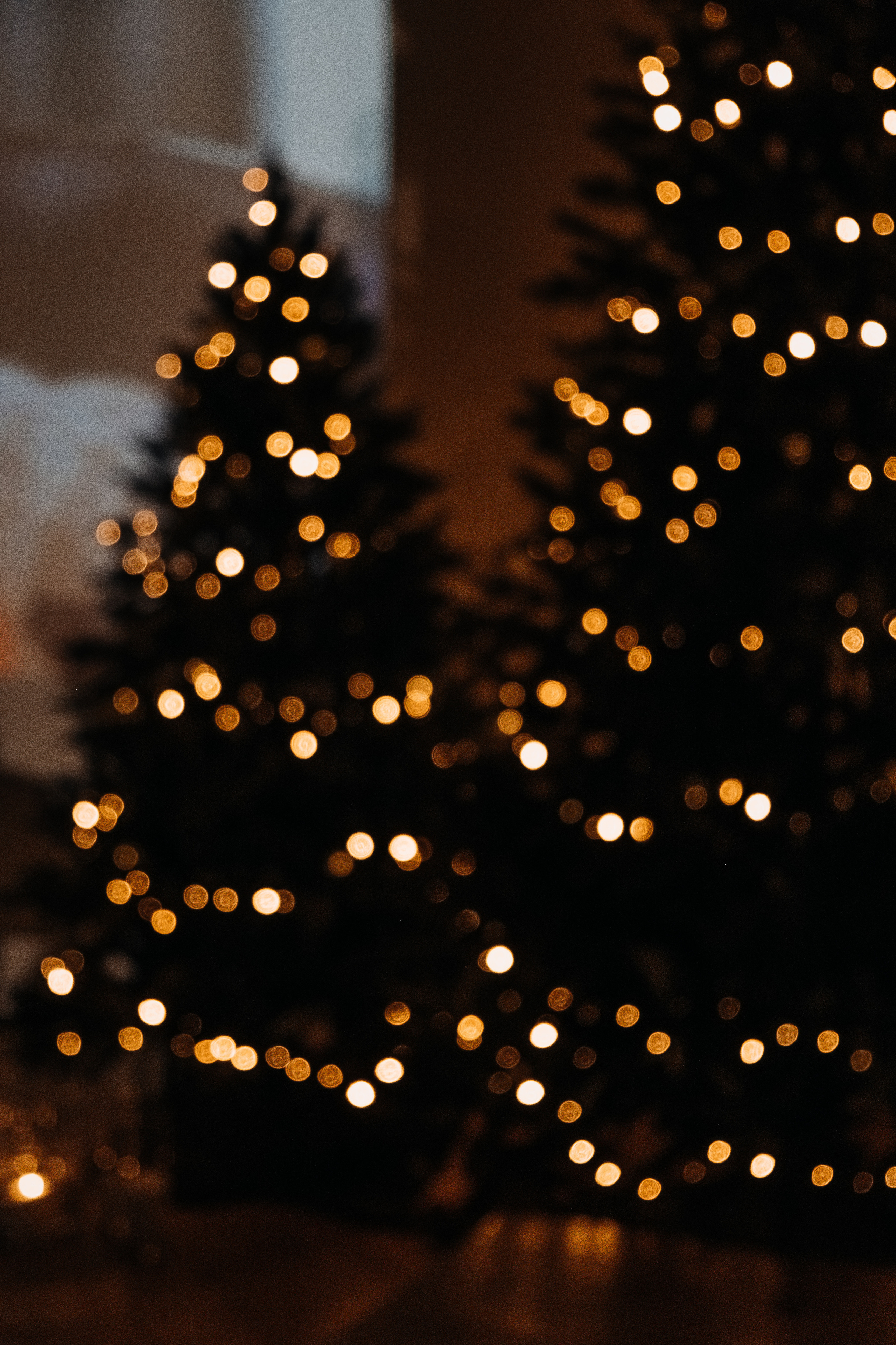 House. Не смотри на других, смотри внутрь себя