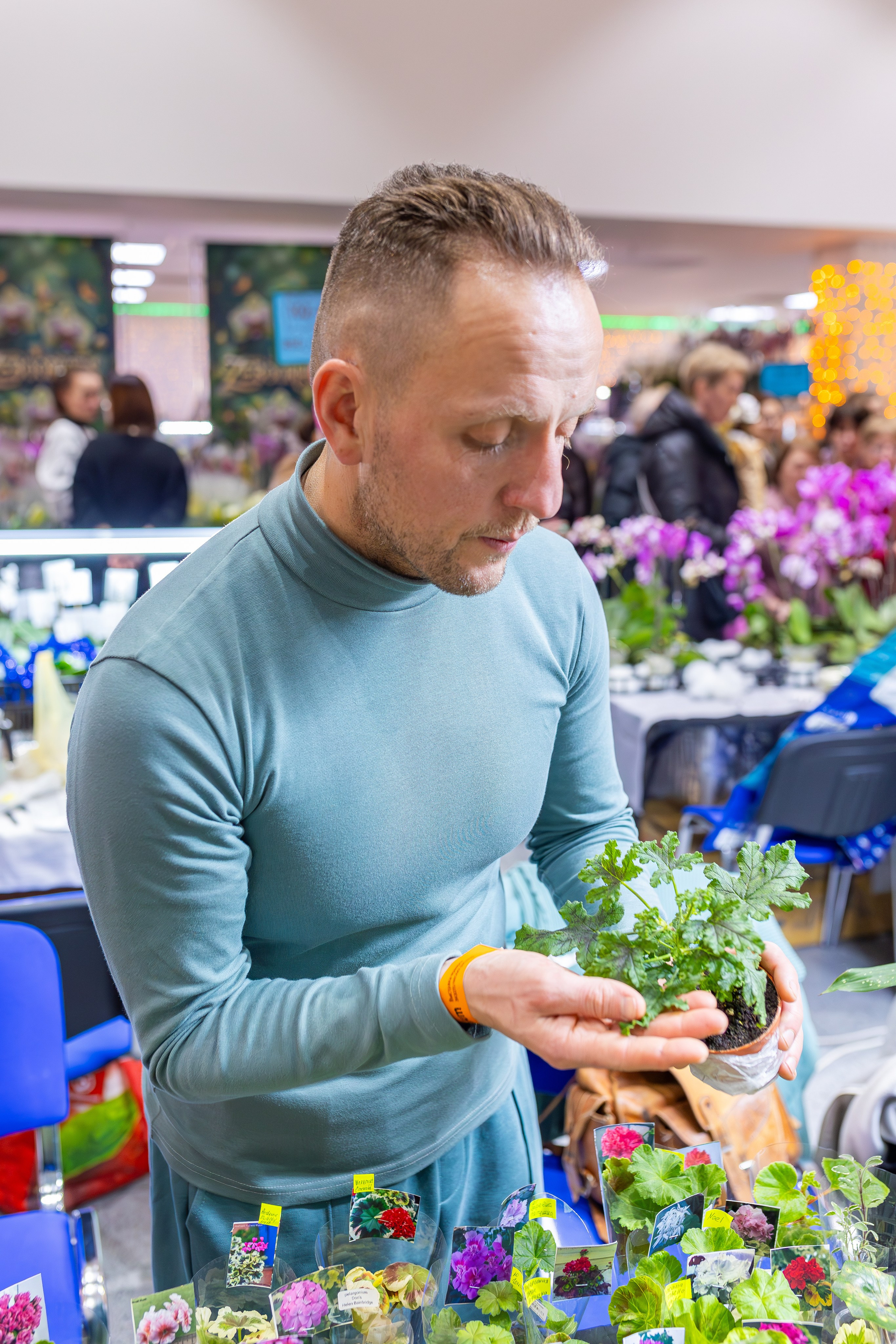 Орхидиум 12.2025. Александра Куликова фотограф, Москва