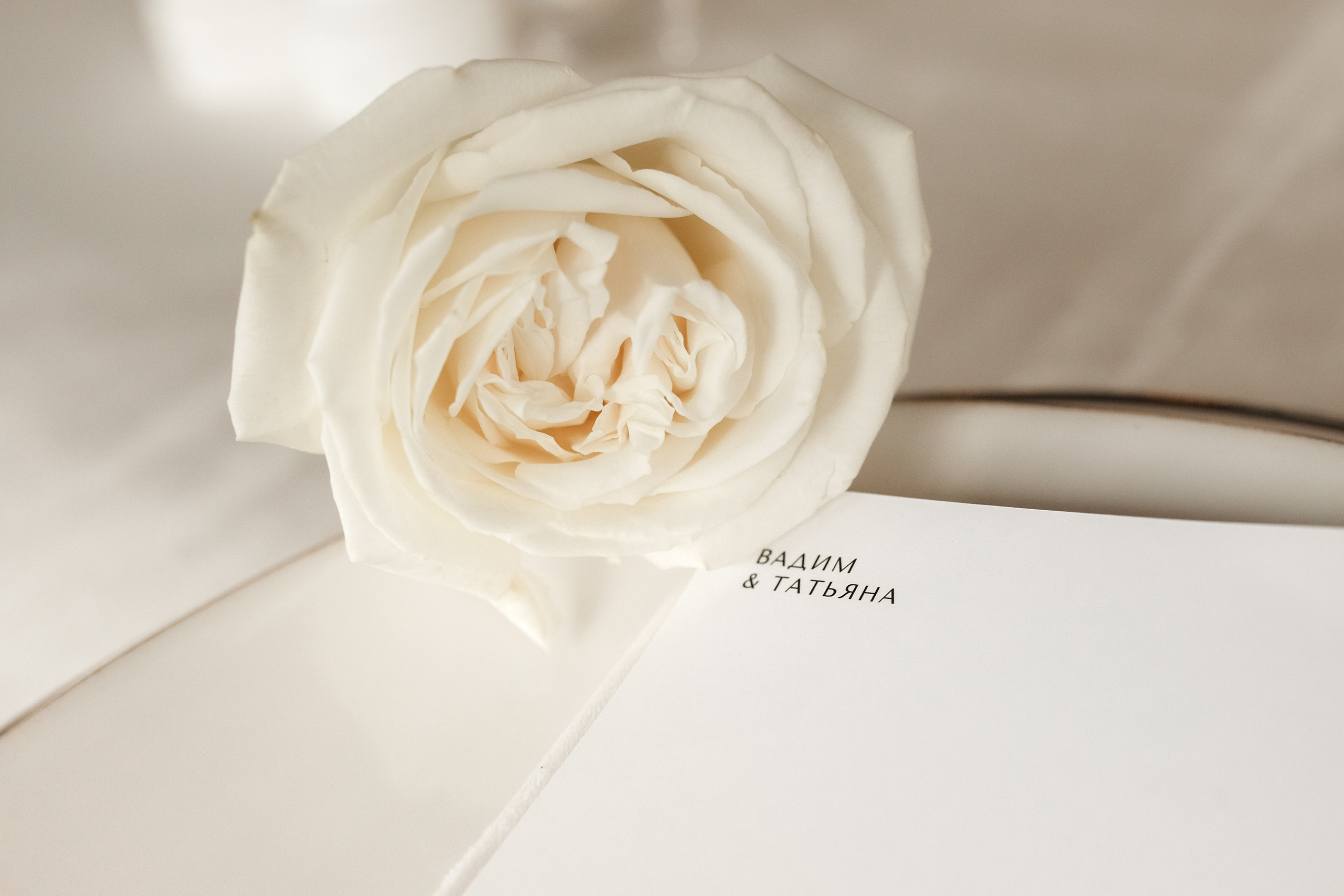 Свадебная история. Фотограф Екатеринбург Московкина Юлия