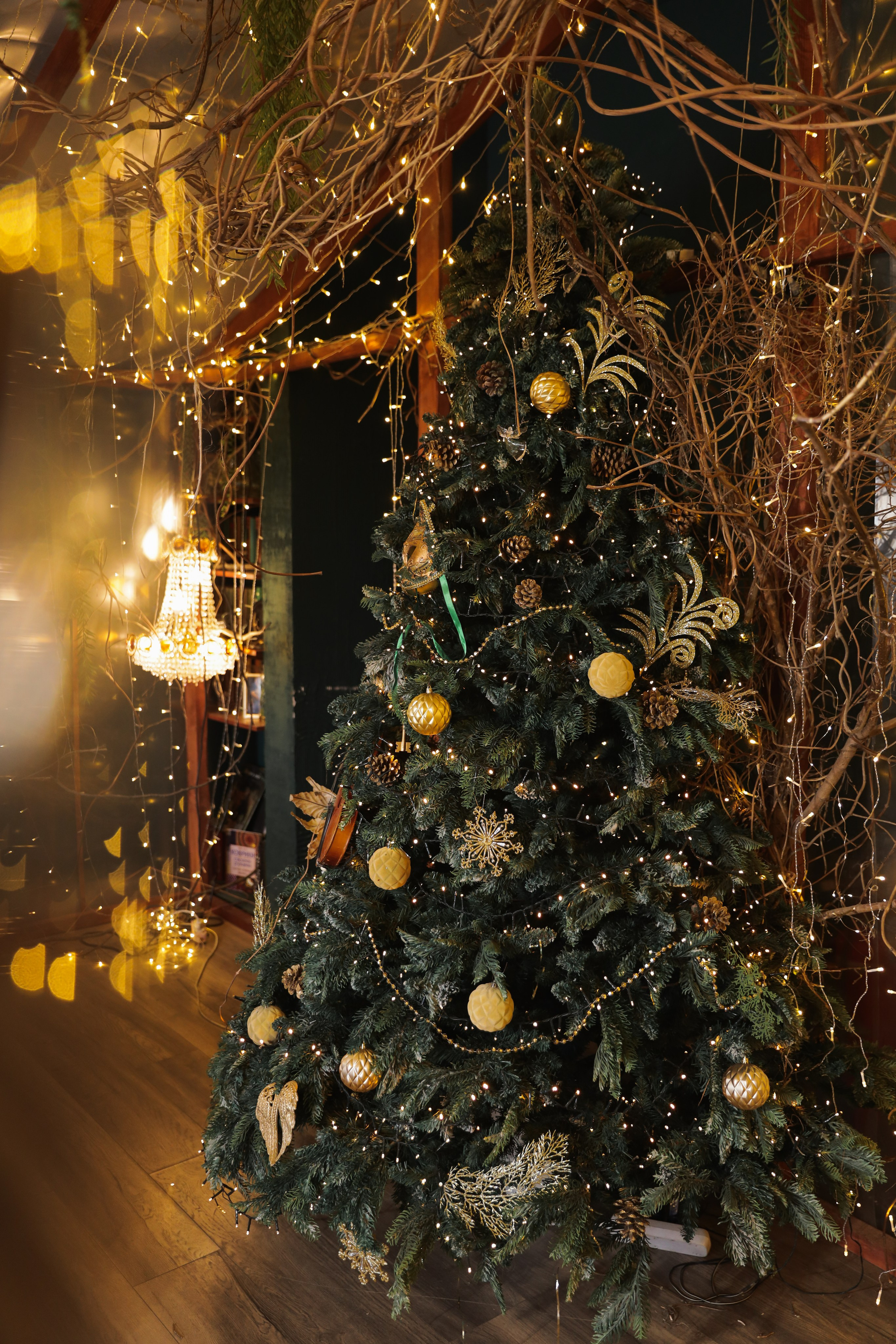 Фотостудия «Роял» зал Теплица. Свадебный фотограф в Ростове Александра Груздева