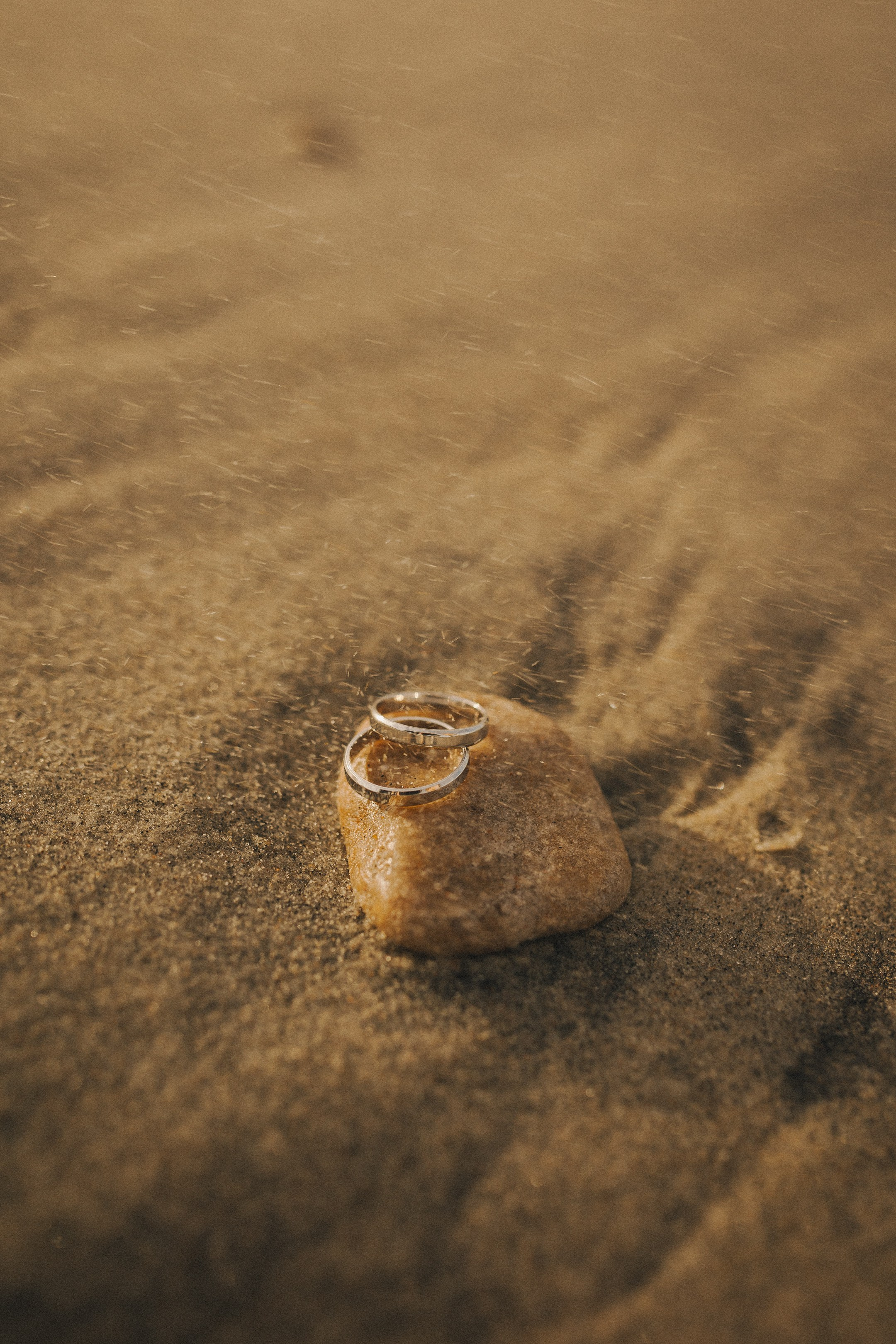 Анастасия и Михаил. Свадебный и портретный фотограф в Калининграде и Москве Марк Юдинцев