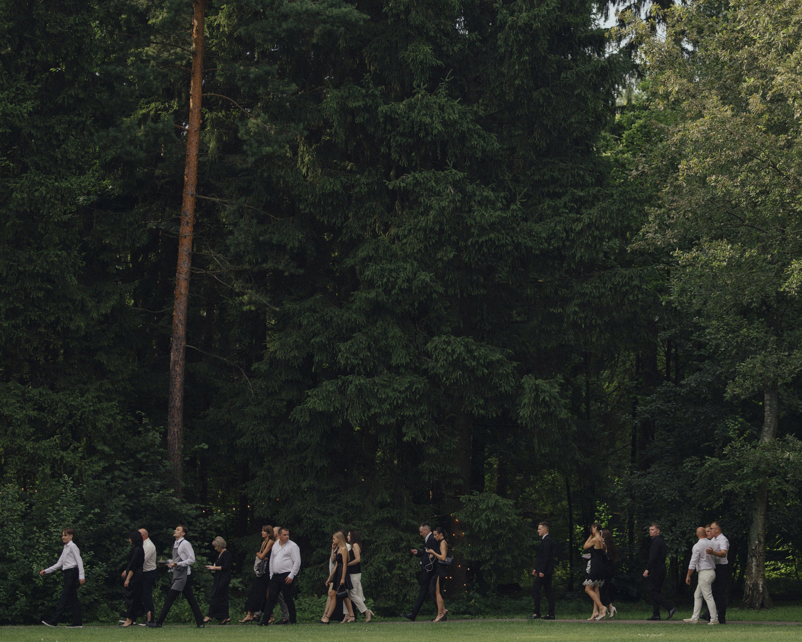 Металлика. Свадебный фотограф в Москве Александр Рыжков