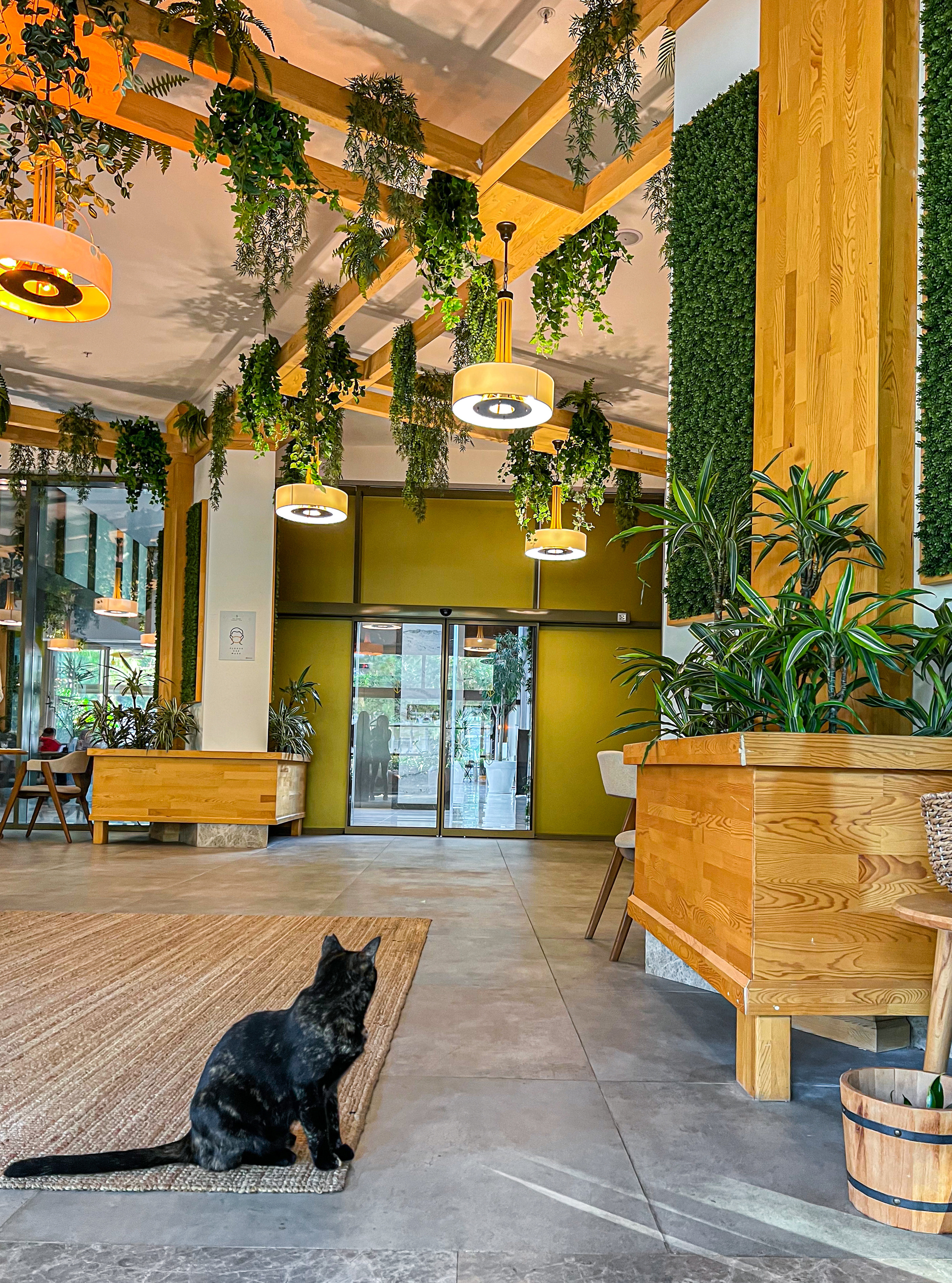 Nirvana by Cosmopolitan, Turkey. Traveling soul