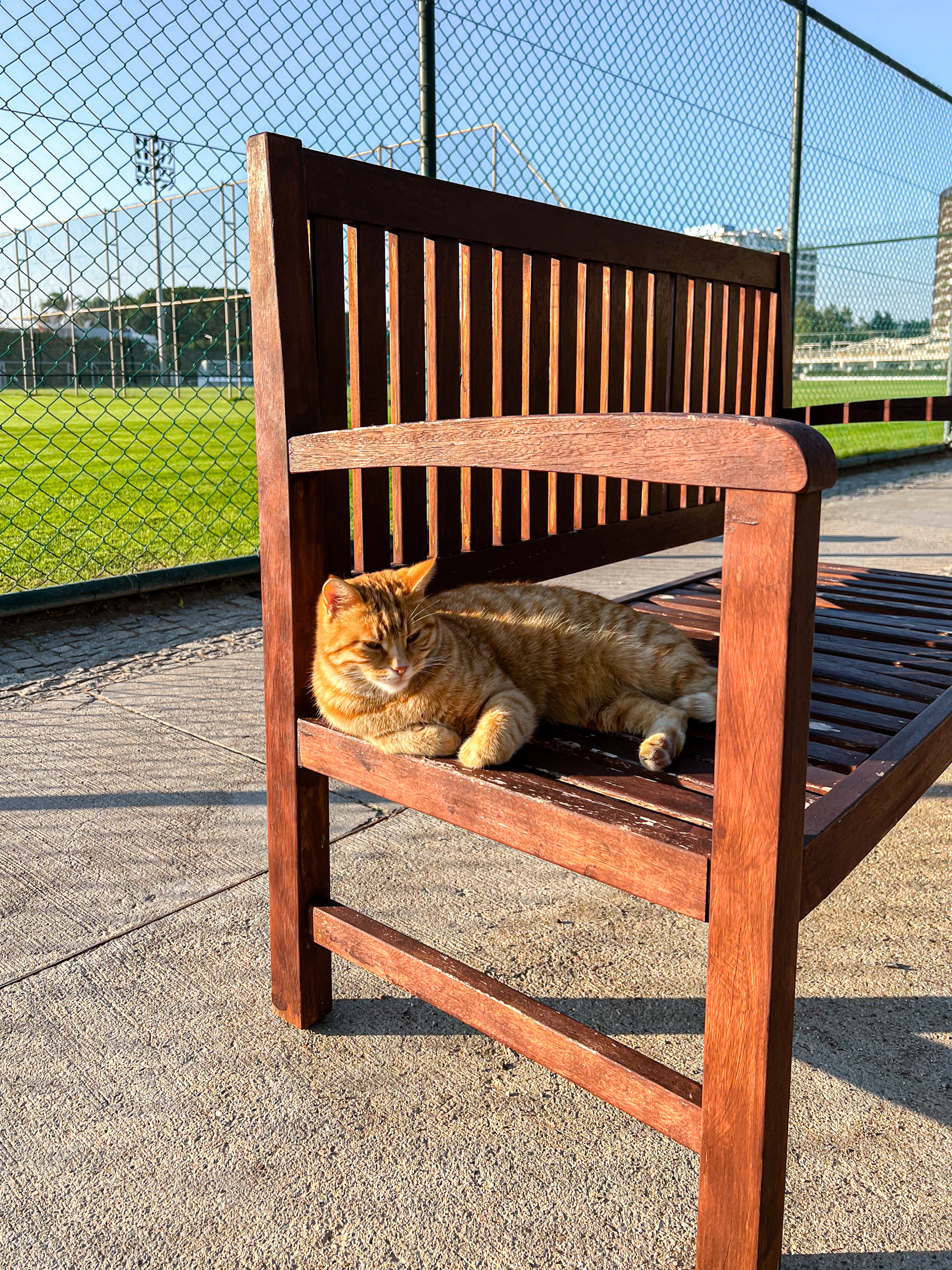 Nirvana by Cosmopolitan, Turkey. Traveling soul