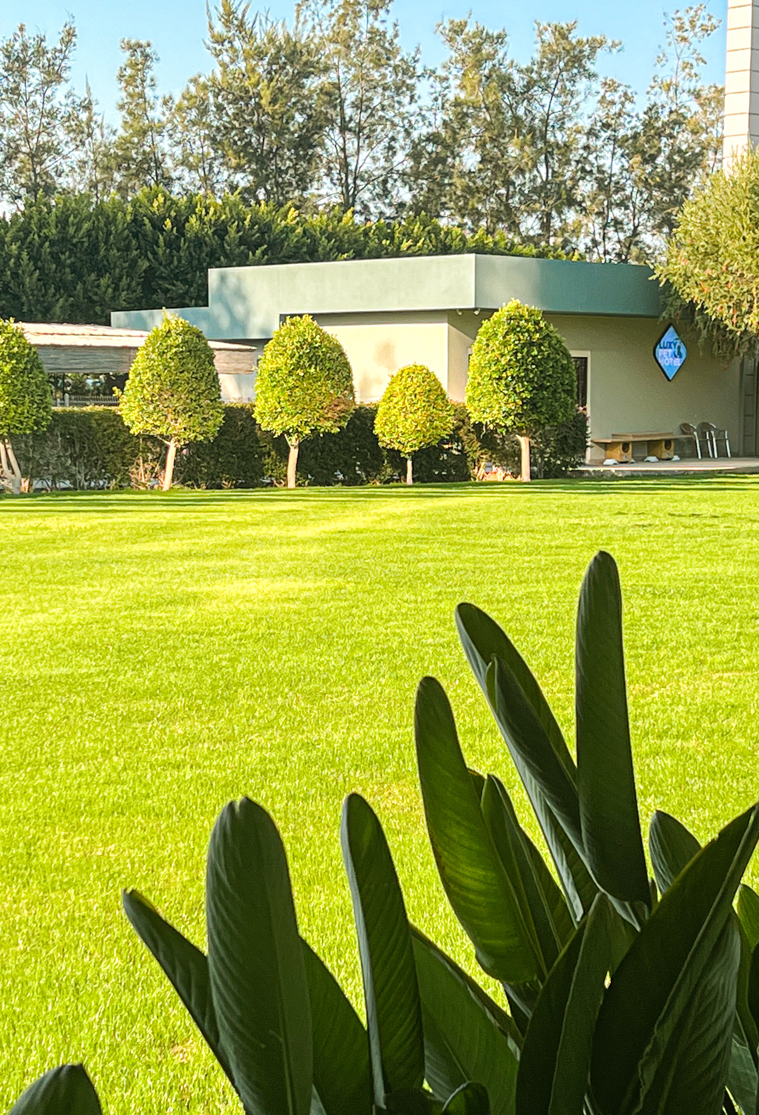 Nirvana by Cosmopolitan, Turkey. Traveling soul