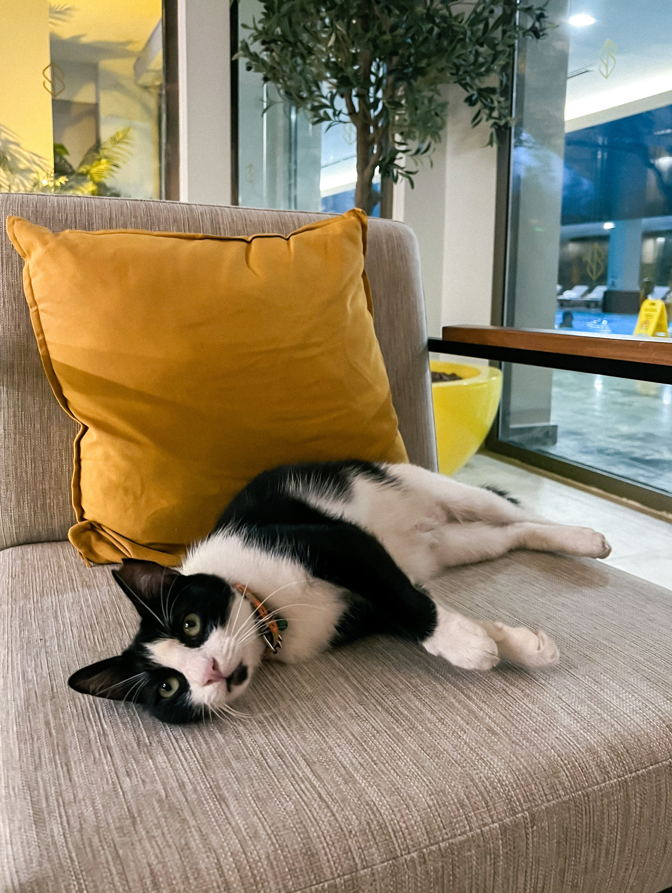 Nirvana by Cosmopolitan, Turkey. Traveling soul