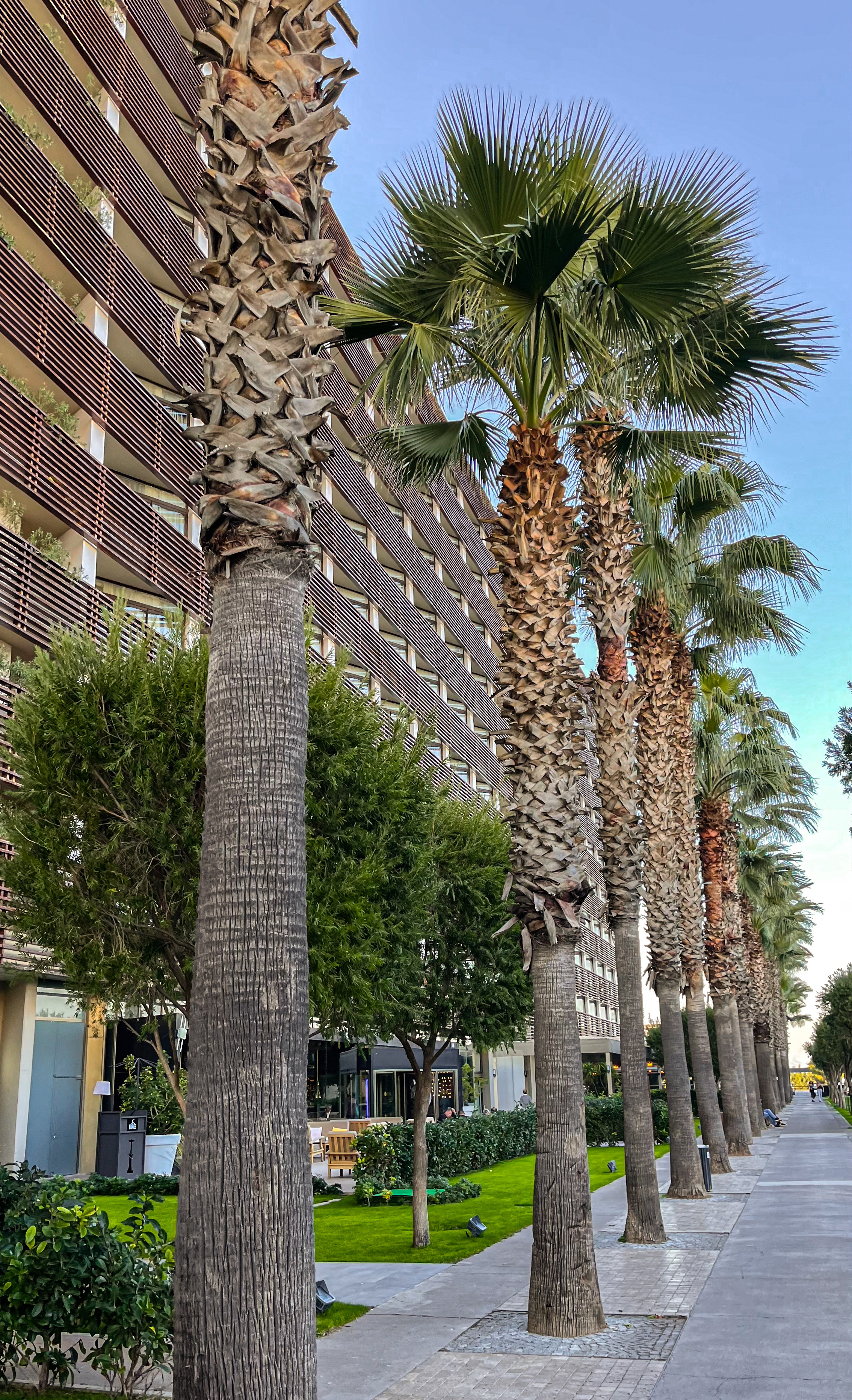 Nirvana by Cosmopolitan, Turkey. Traveling soul