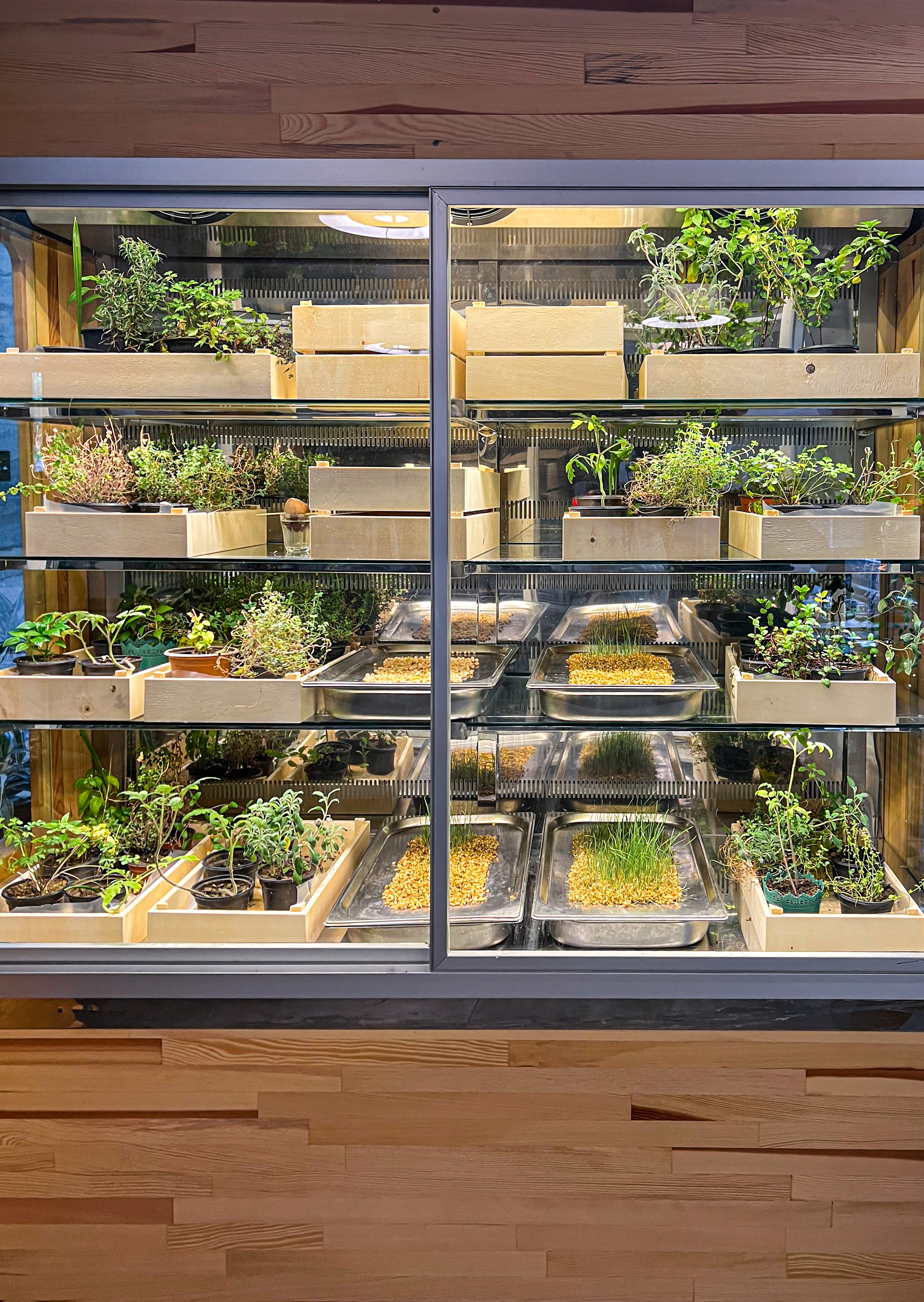 Nirvana by Cosmopolitan, Turkey. Traveling soul