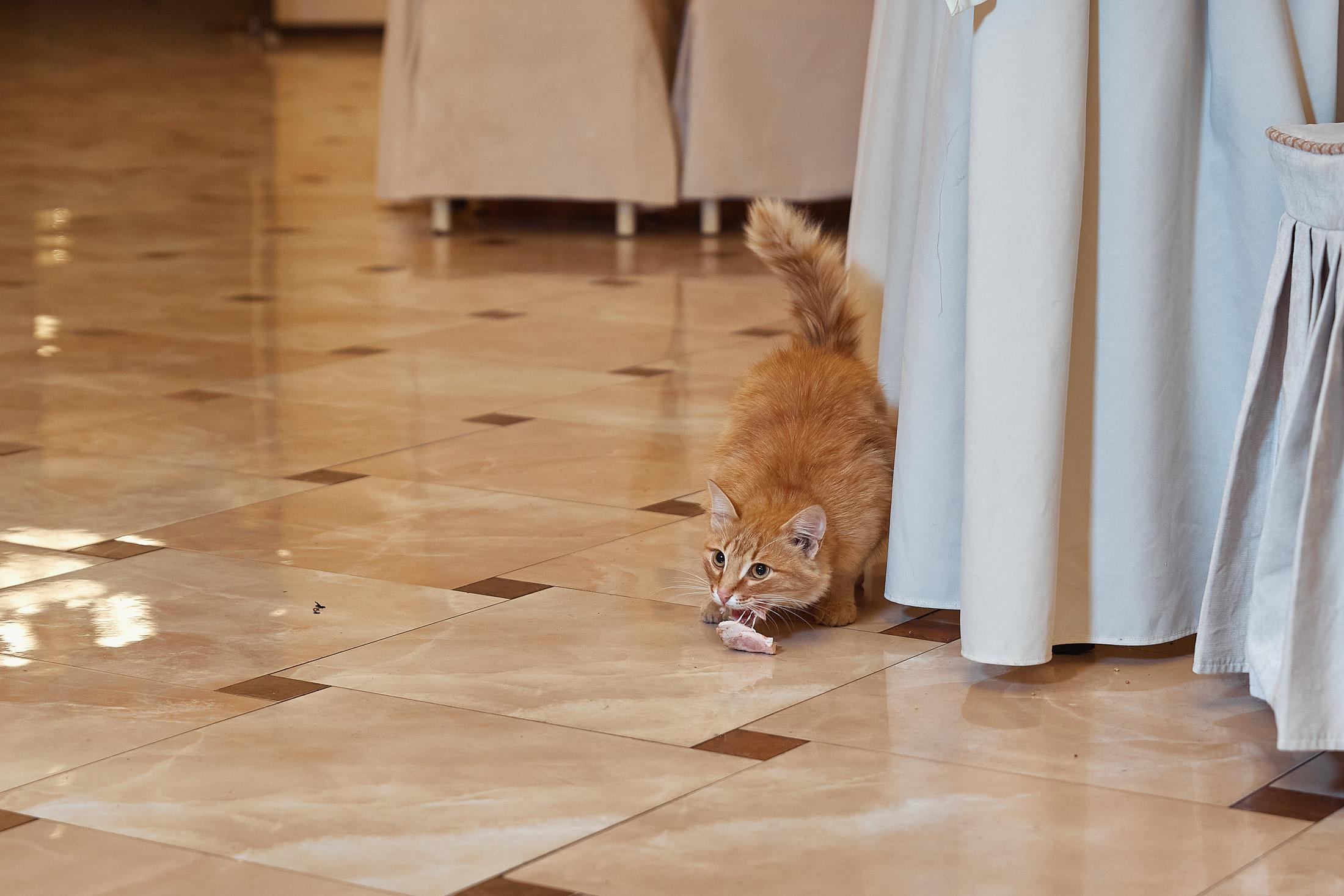 Свадебная съёмка в городе. Свадебный фотограф Антон Артюшин. Работаю в Нижнем Новгороде и Москве