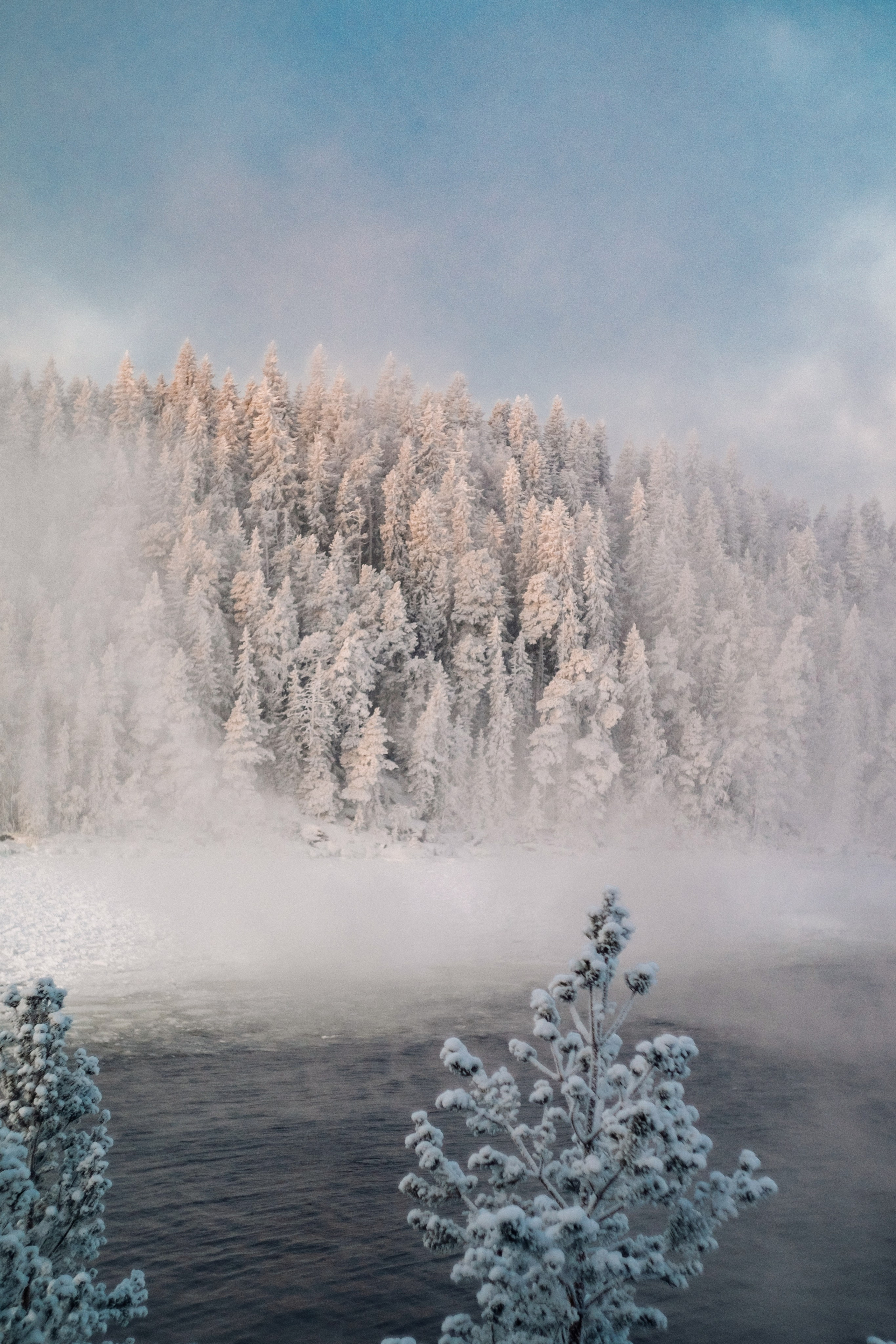 Природа. Трандин Иван Фотограф СПб