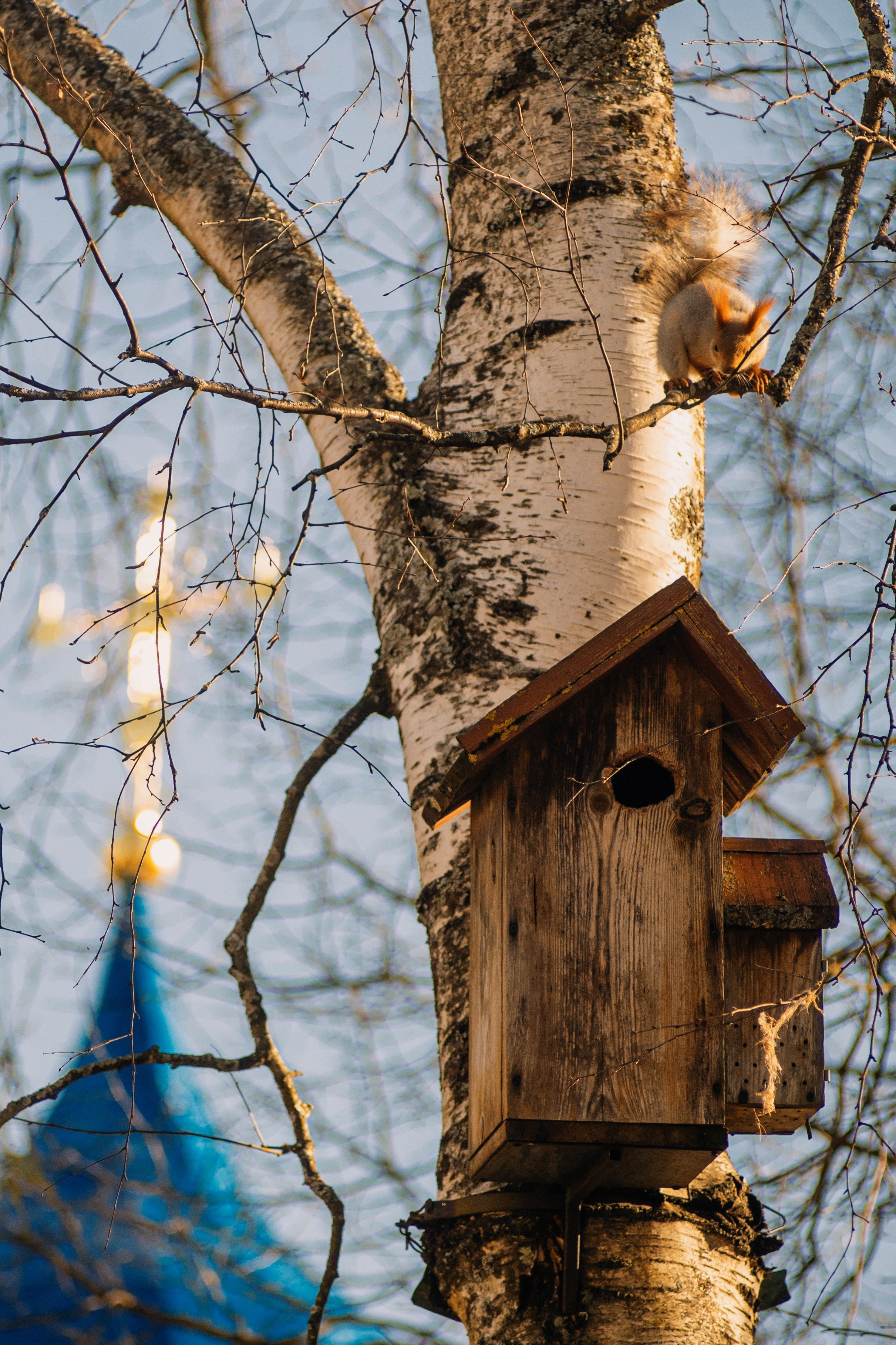 Поездки по России. Трандин Иван Фотограф СПб