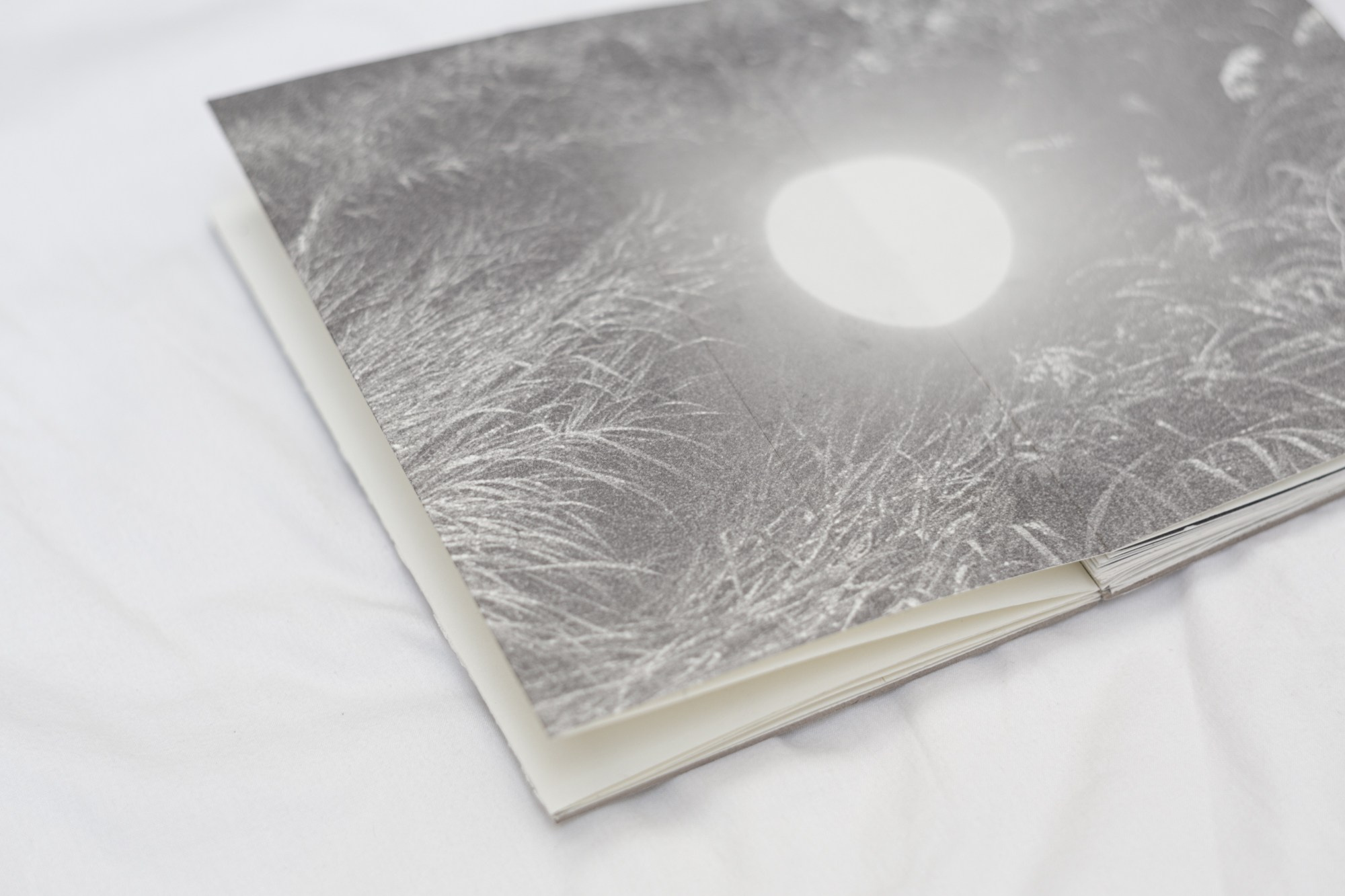 Ultima Thule. Ася Бобрицкая — мультидисциплинарый художник