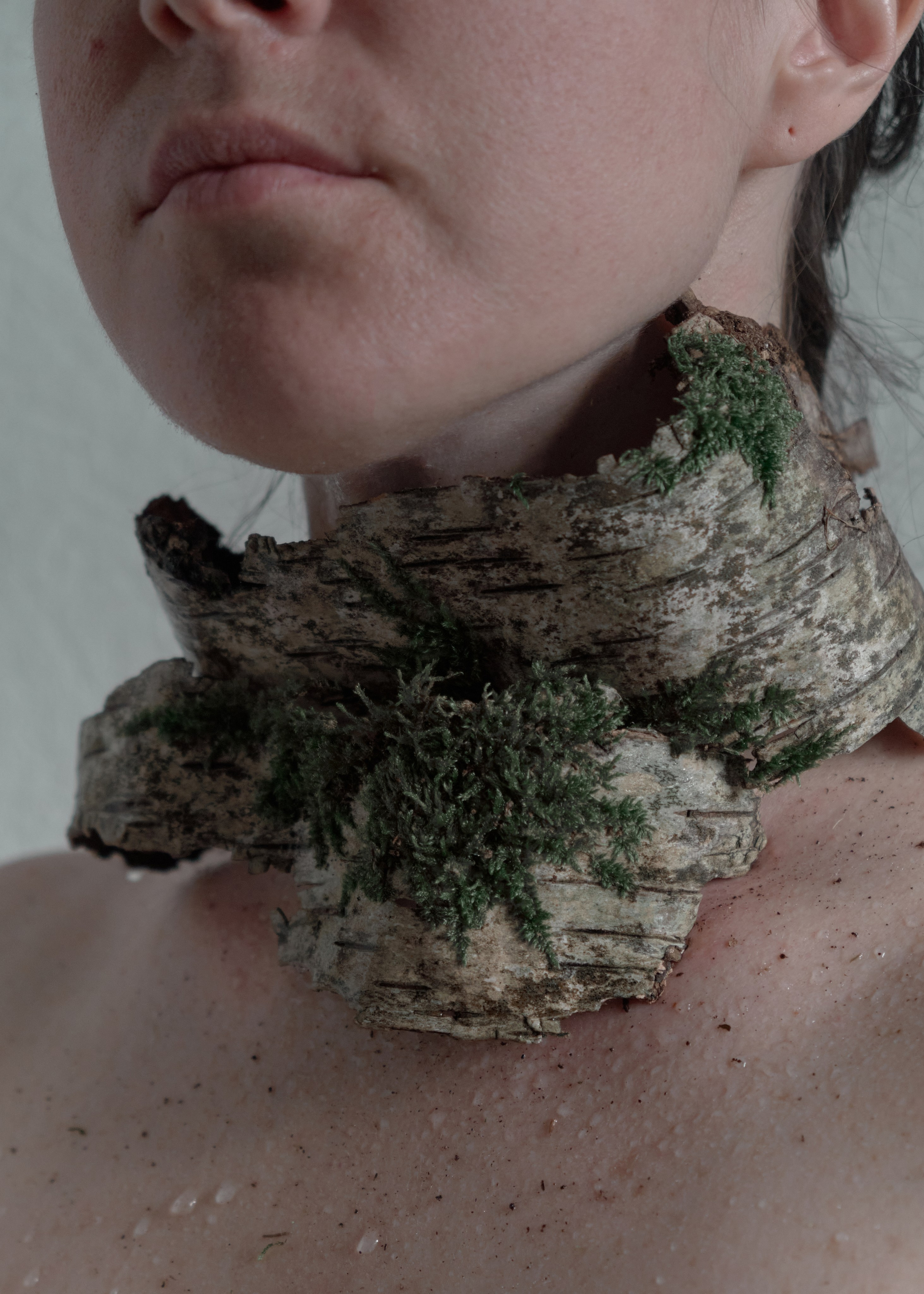 Я приношу к себе лес я себя приношу в лес. Алиса Косарева