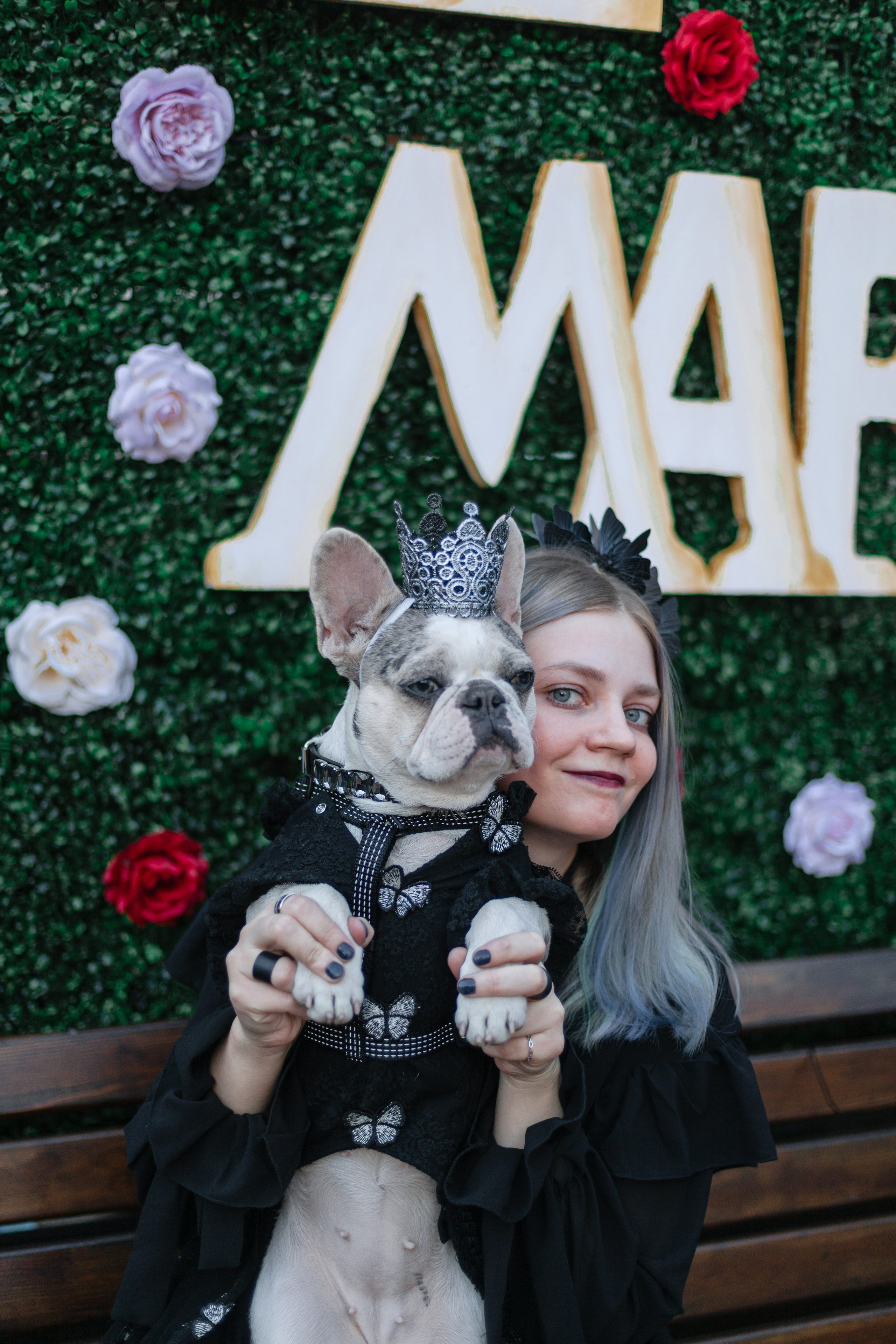 Бульбалл 23.04.2023. Фотограф-анималист Татьяна Степанова