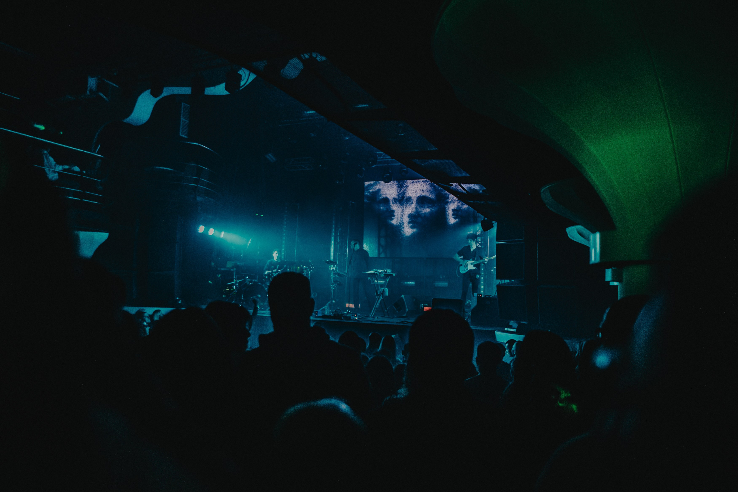 Дельфин | Gaudi. Контент фотограф Илья Урс