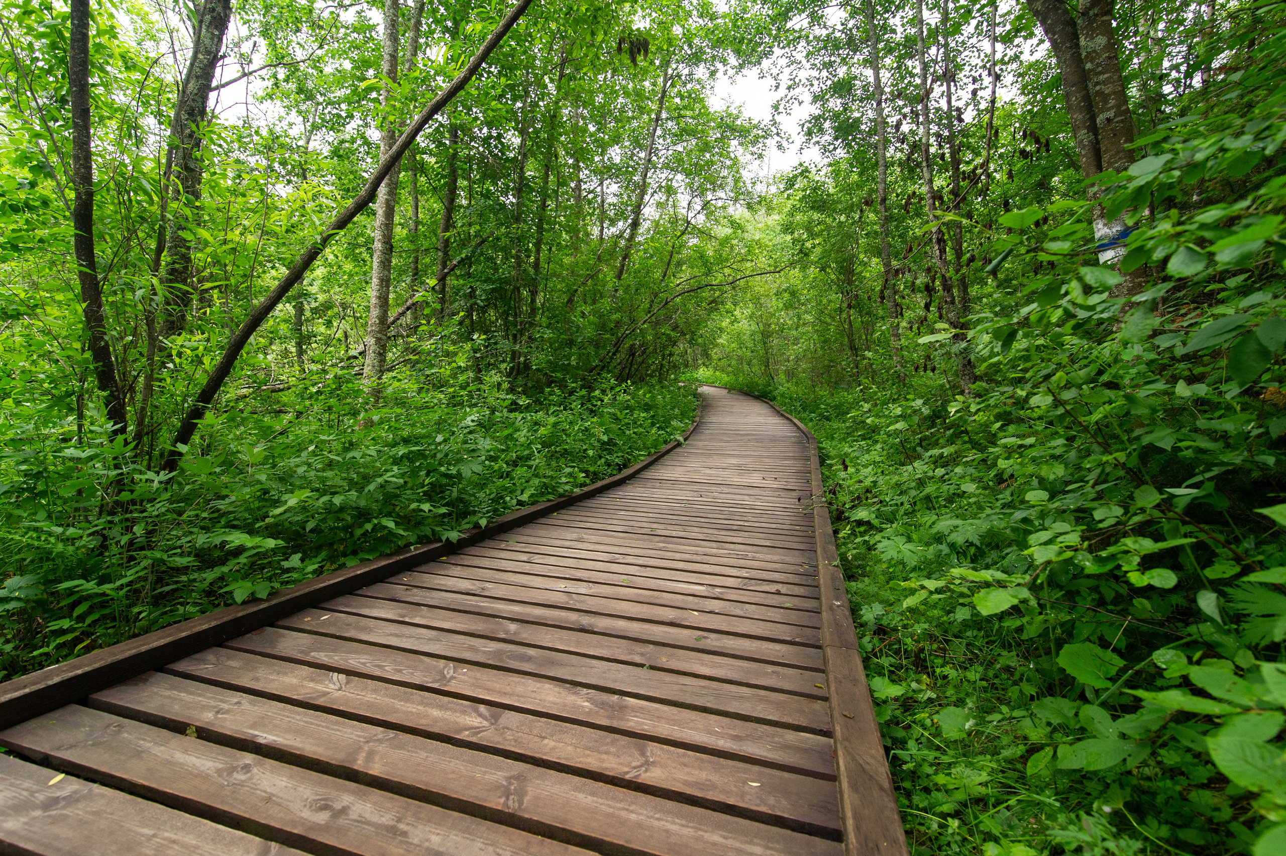 Национальный парк Таганай. Фотограф Шариков Илья
