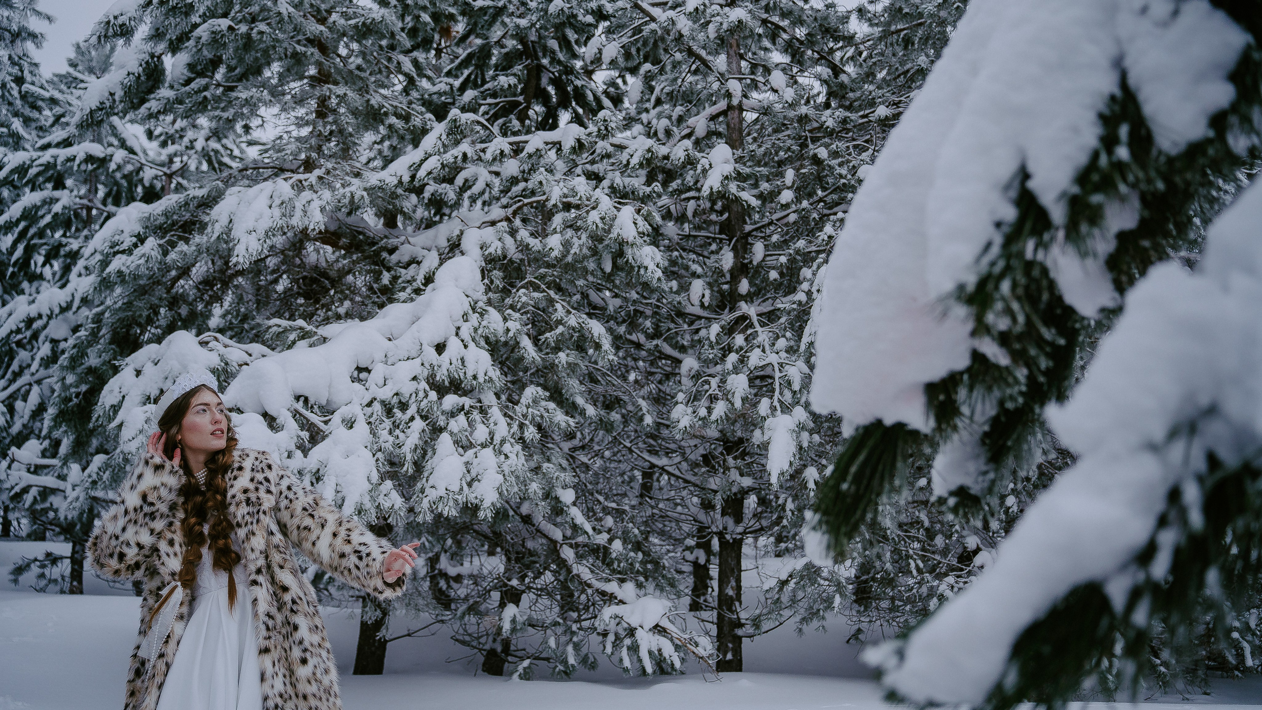Дан и Татьяна — Зимняя сказка. Свадебные фотограф и видеограф в Саратове