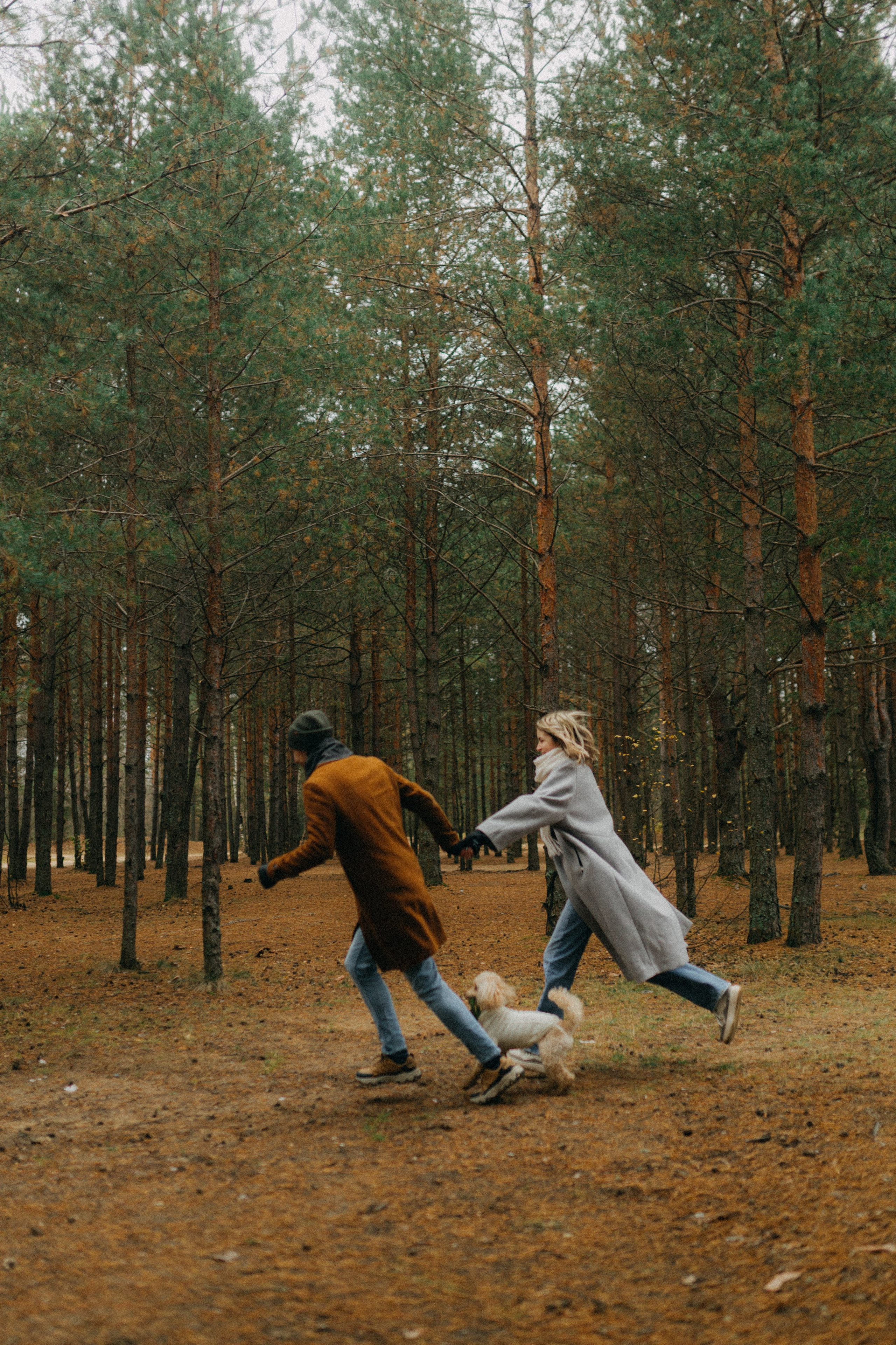 Лена & Миша. Фотограф НОГИНСК, Москва, Анастасия Белая