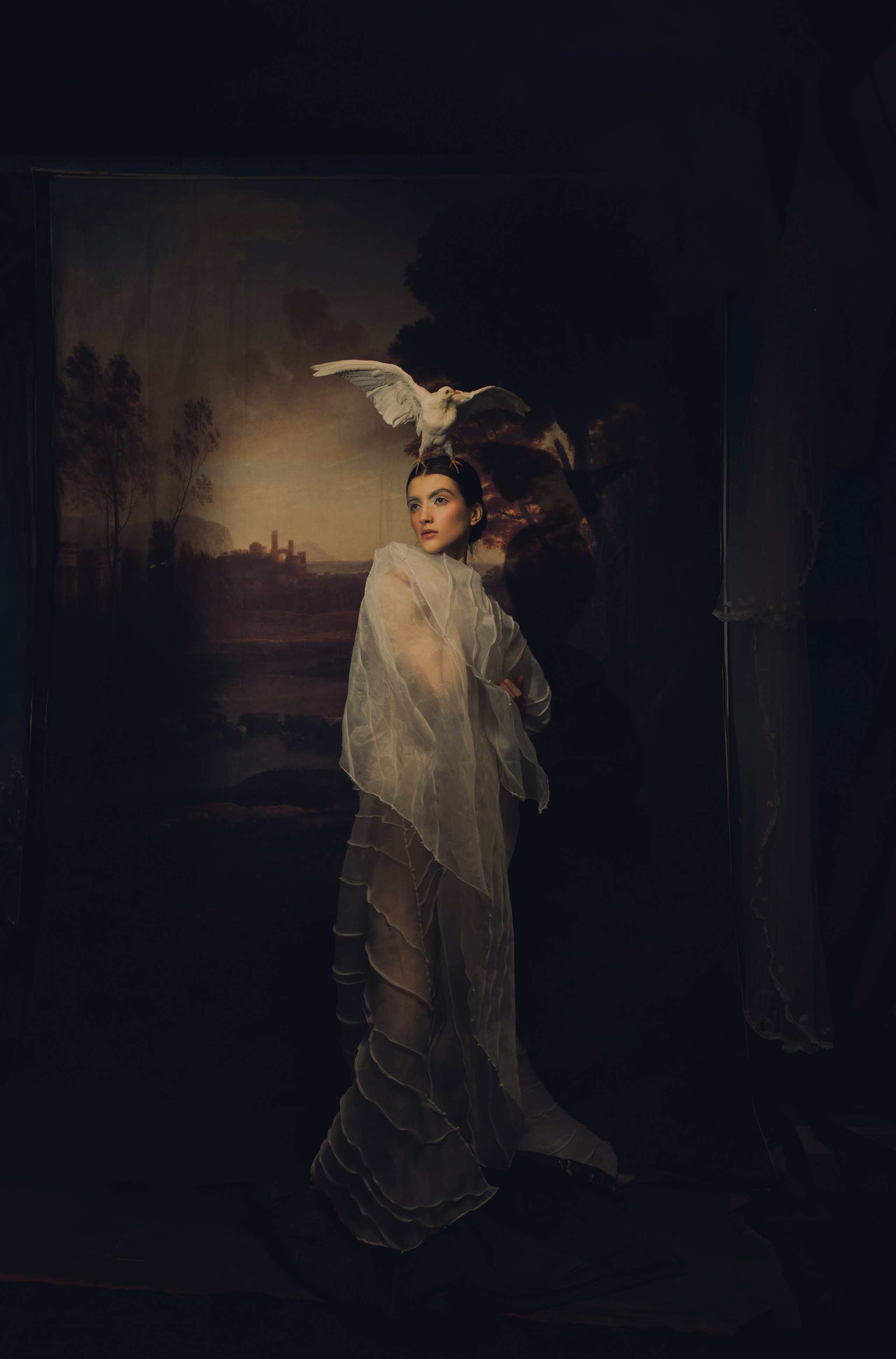 Птица. Фотограф Anita Mivchas