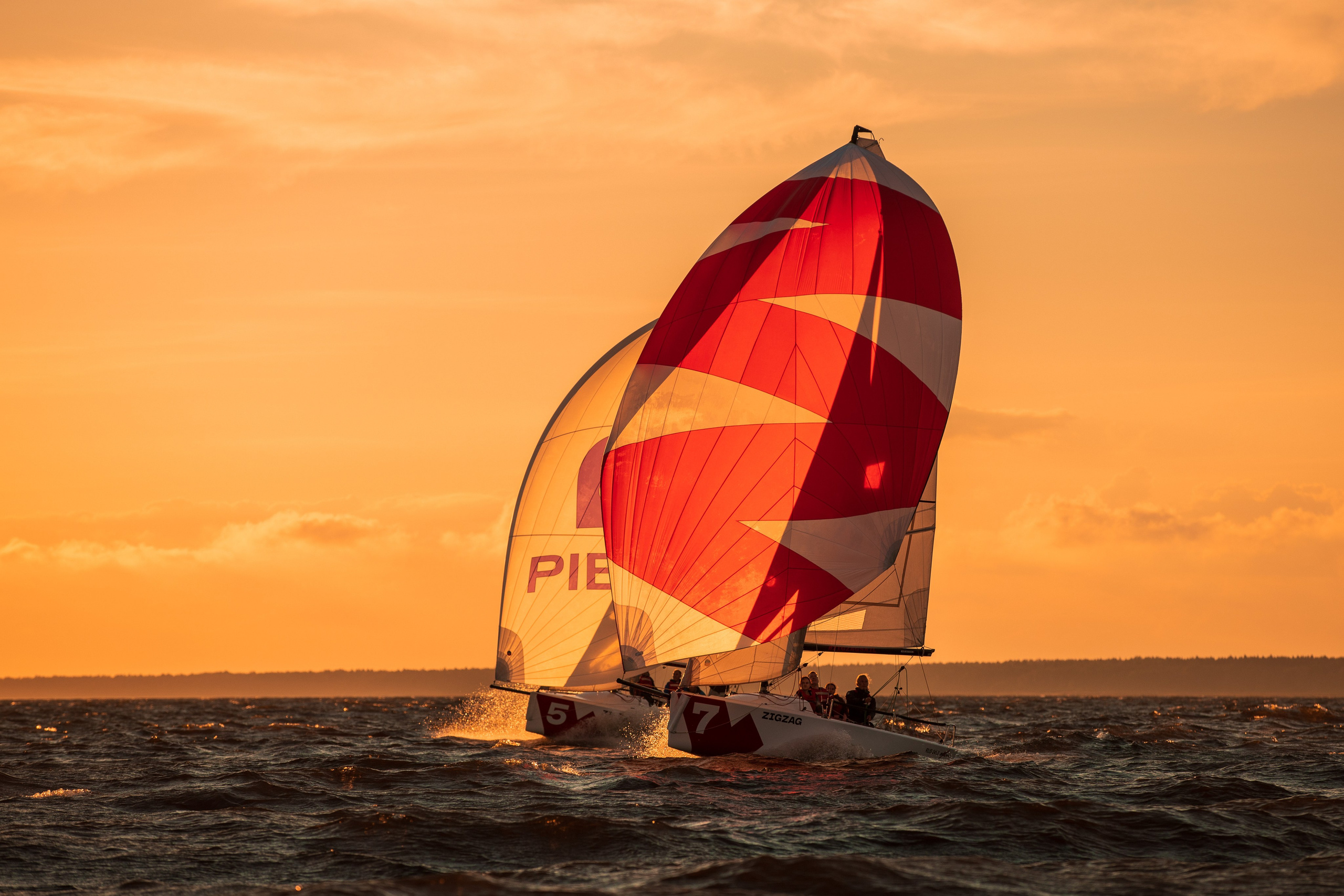 Паруса светятся на солнце во время регаты на закате.