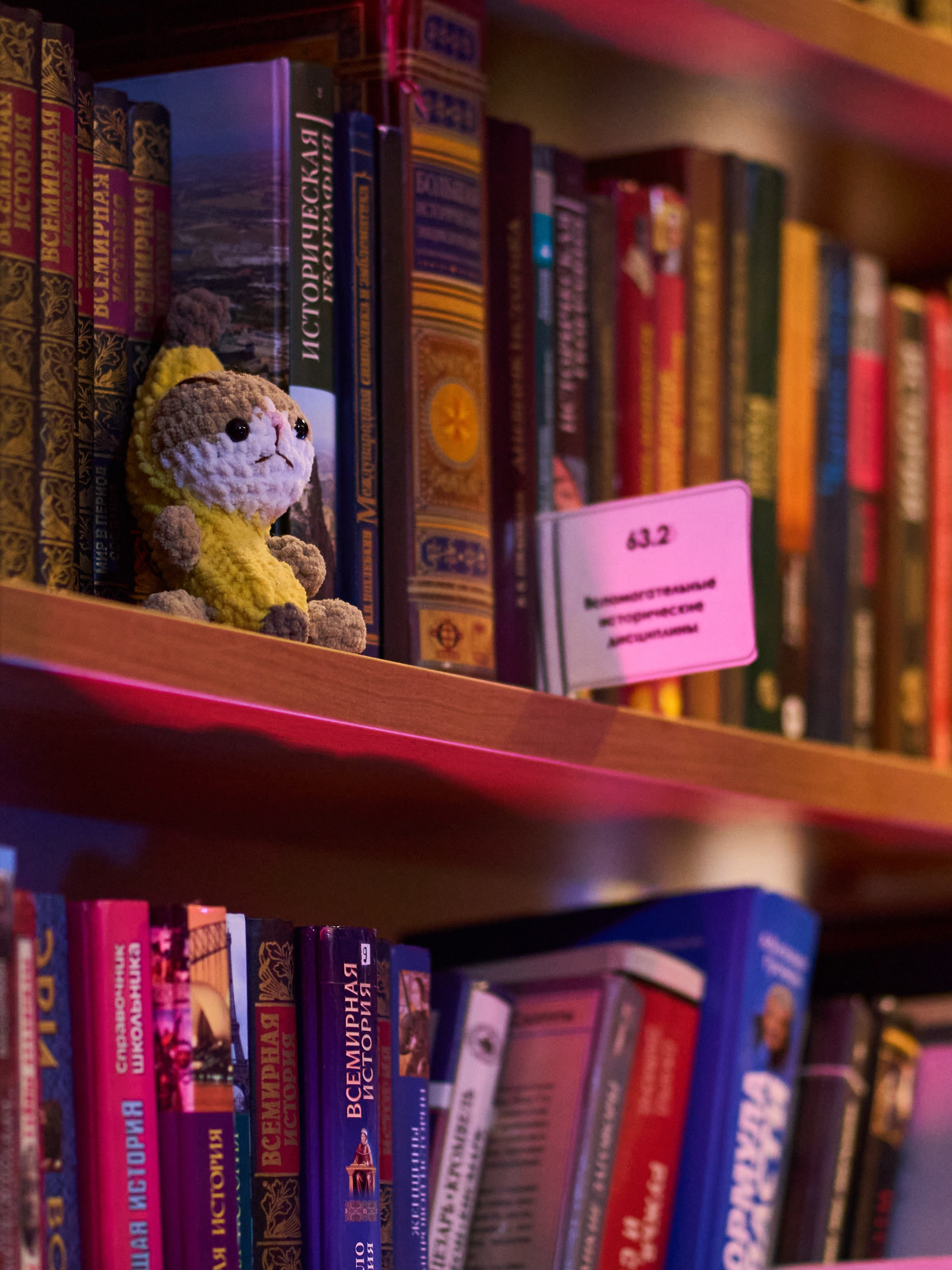 Акустический концерт Mike&Lizy. Фотограф в Москве Анастасия Баева