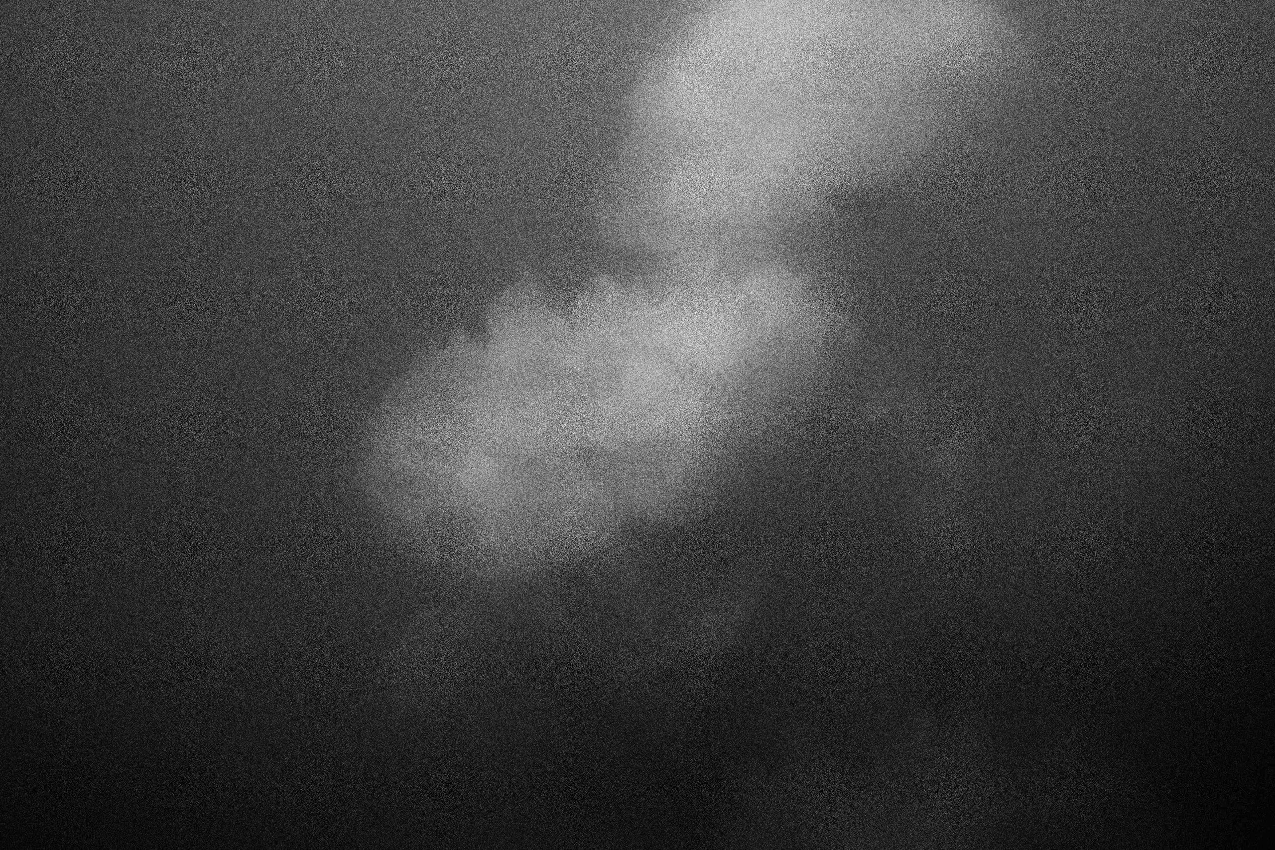 «Видеть. Чувствовать. Сохранять»