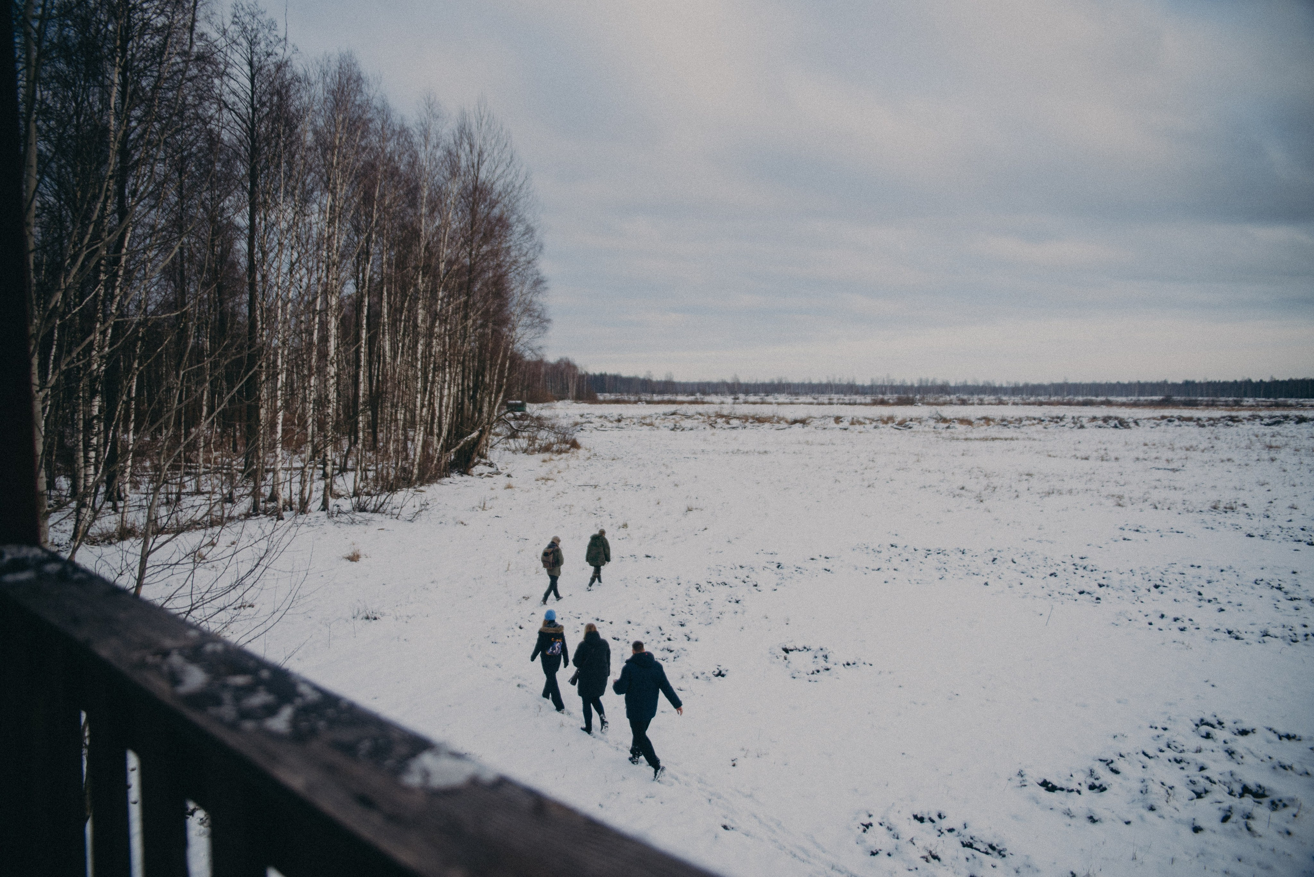 Тарпаны. Anita_photo