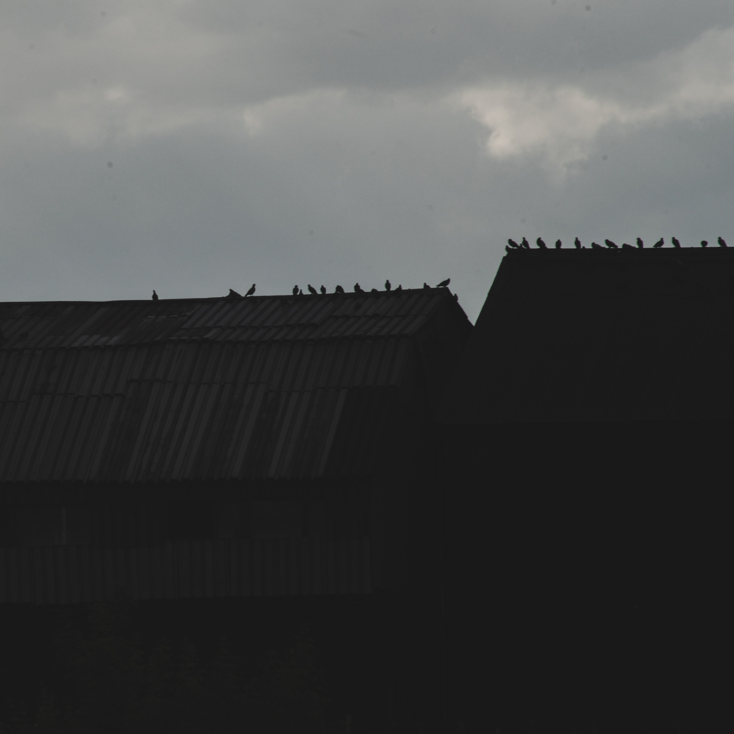 The Barn of Shadows. Whoii art