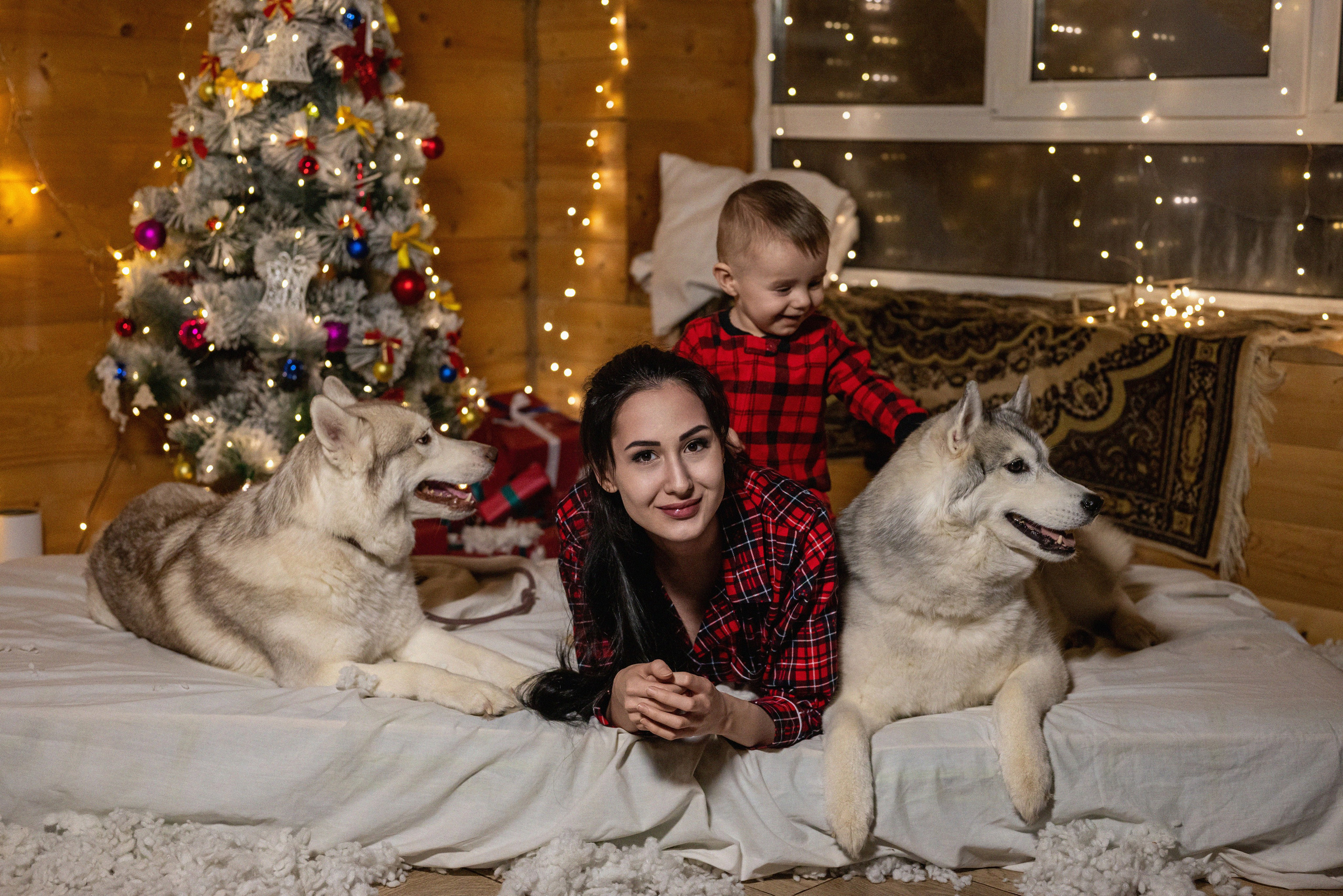 Фотопроект с хаски 2024 г. Фотограф в городе Салават