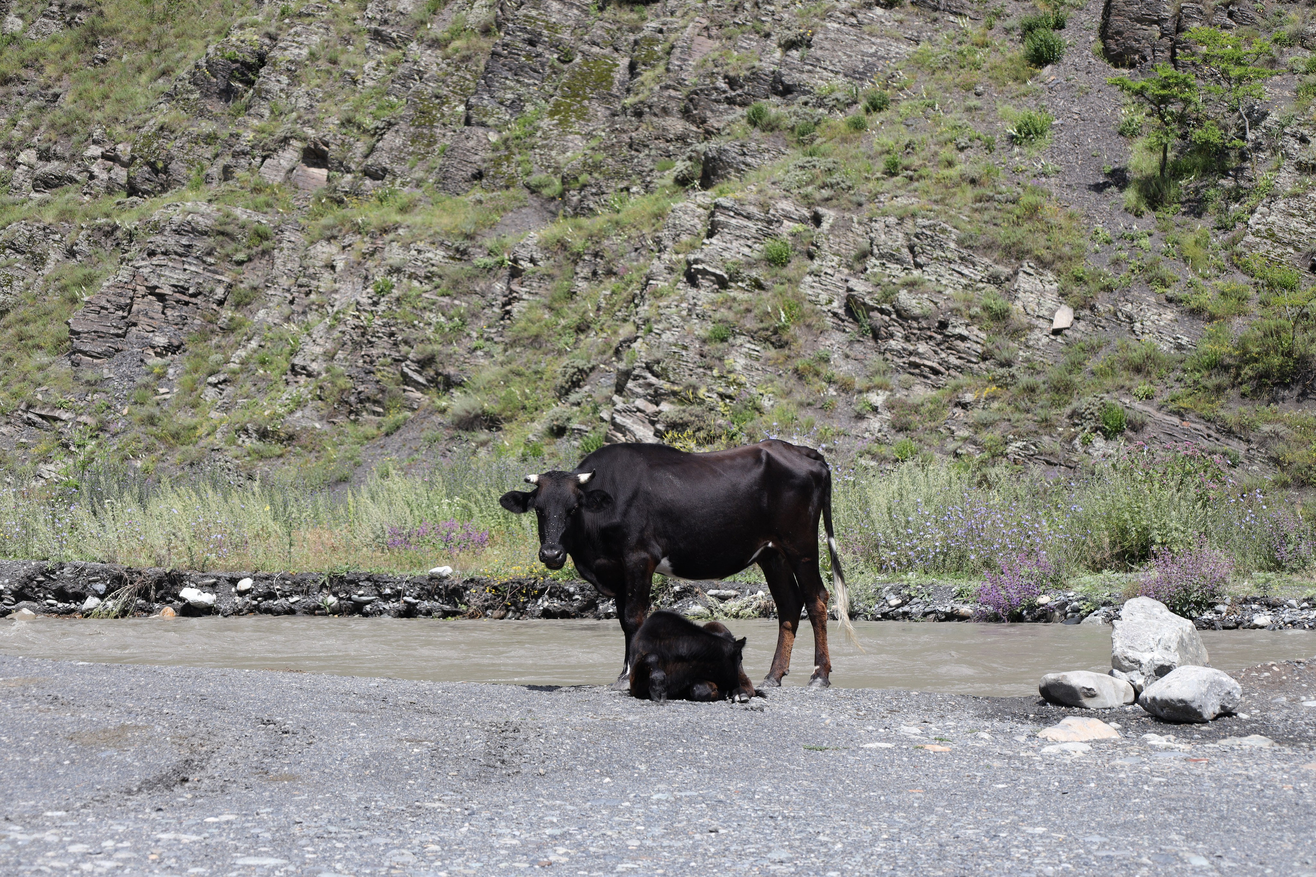 Северная Осетия июль 2025 год. Кармадон, Даргивз и Цей. Семейный детский фотограф Краснодарский край Оксана Колос