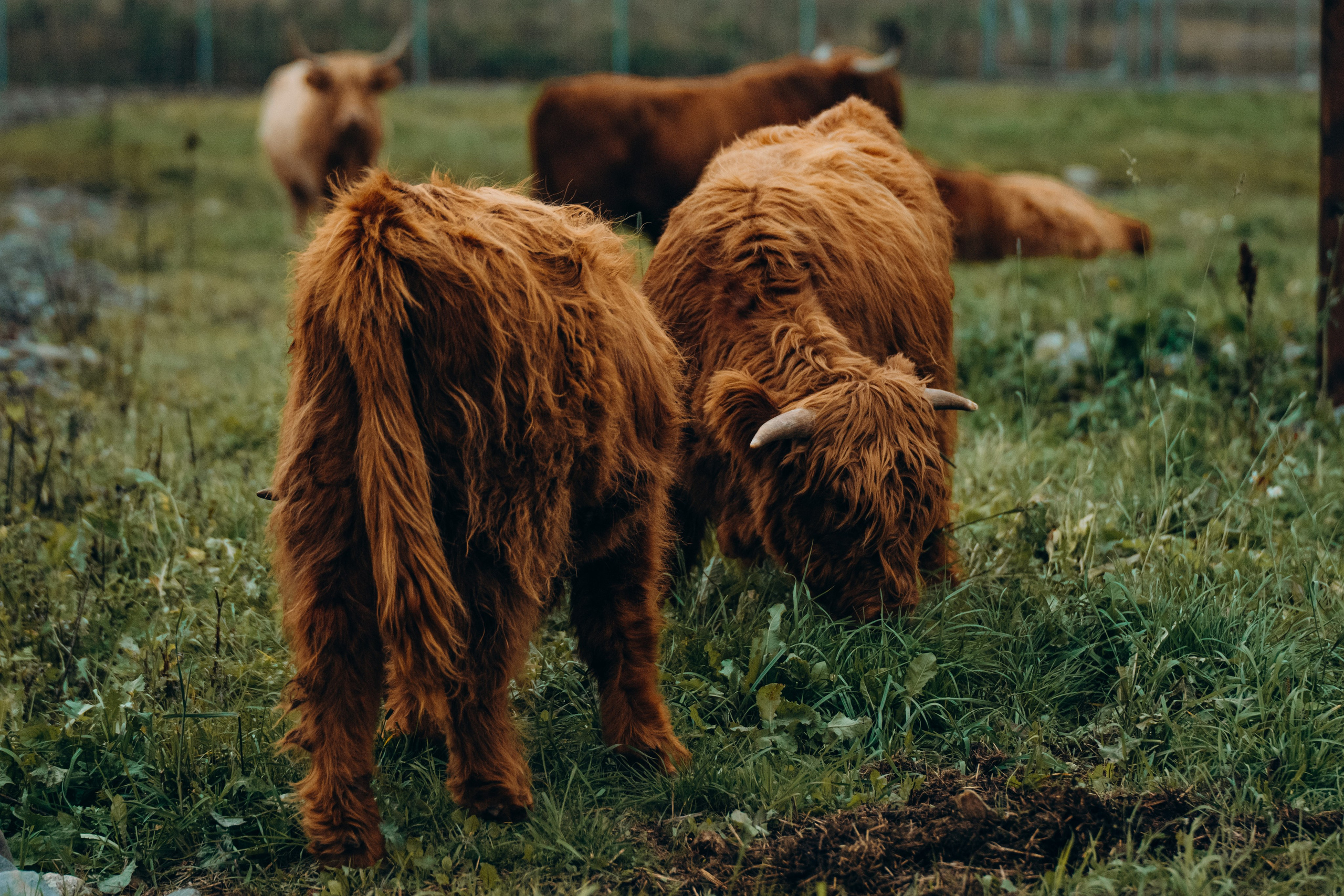 СЕВЕР. Event фотограф Степанова Александра