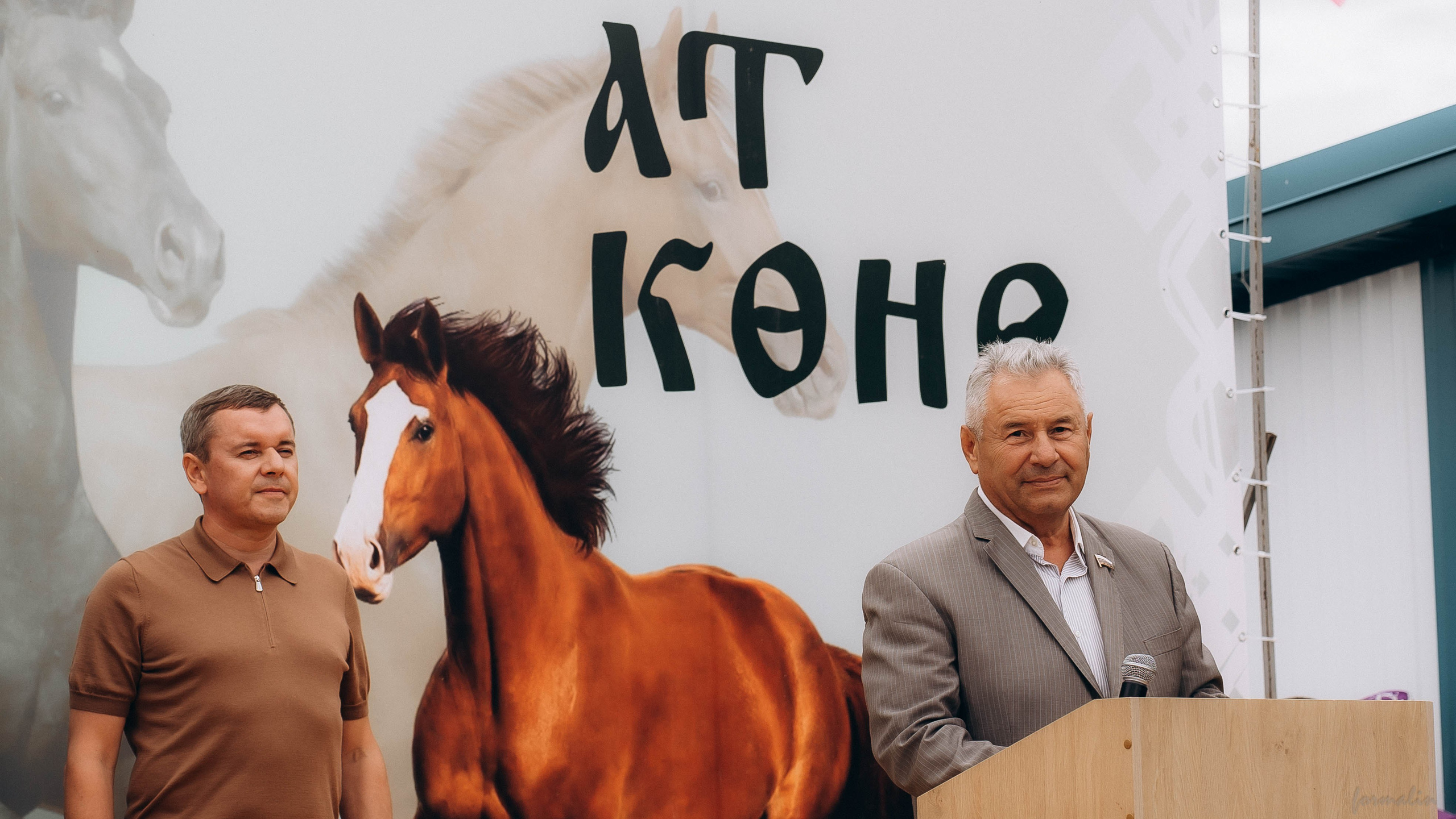 День Коня. Алиса Никитцова | Фотограф в Казани