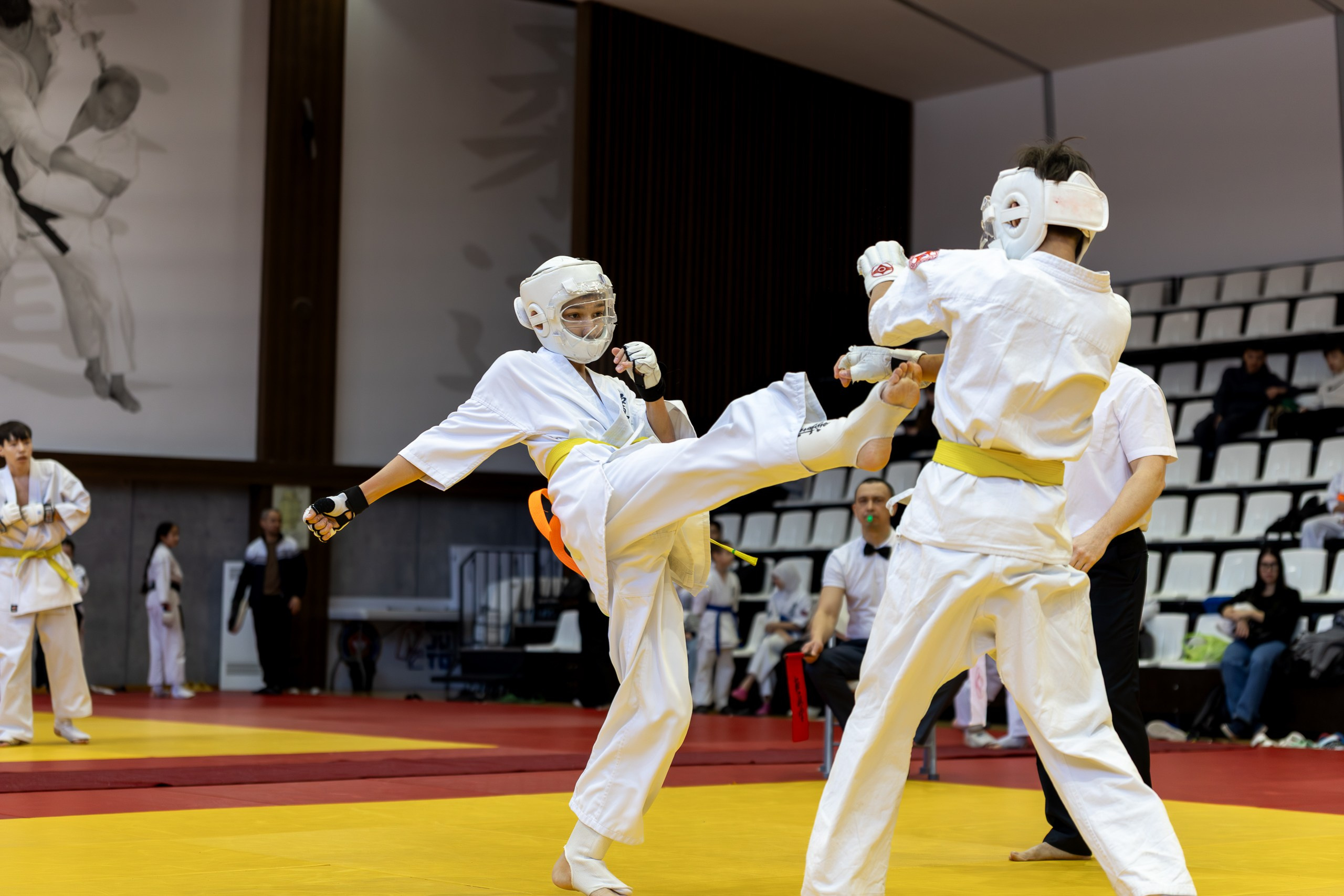 Карате кумите. Главная