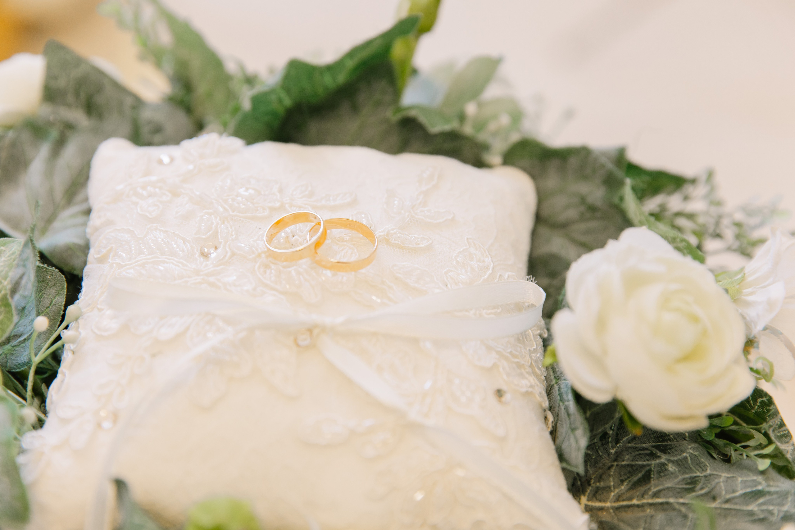 ЗАГС Иван & Алена. Свадебный фотограф в Новосибирске Лидия Александровна