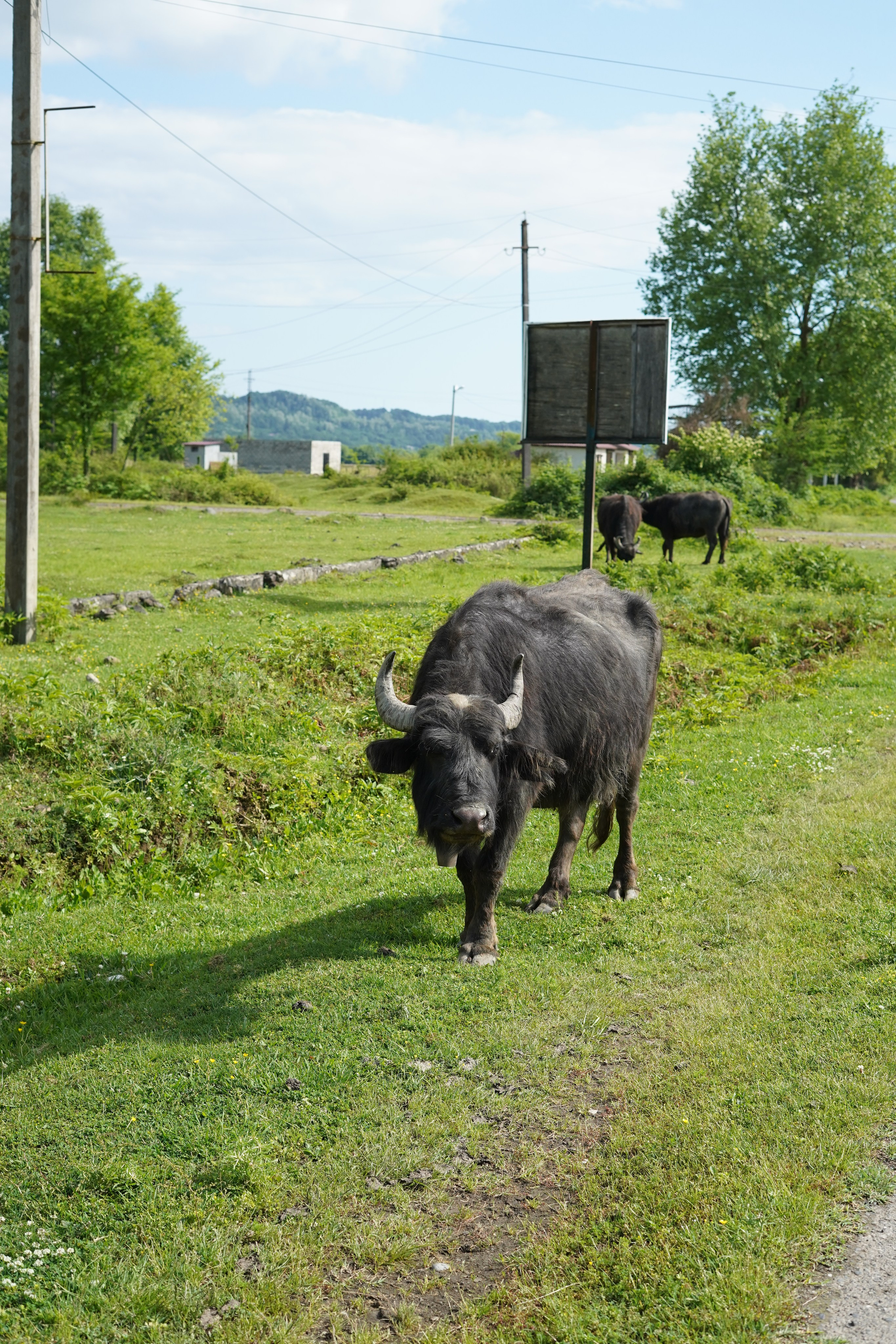 Сухум и окрестности