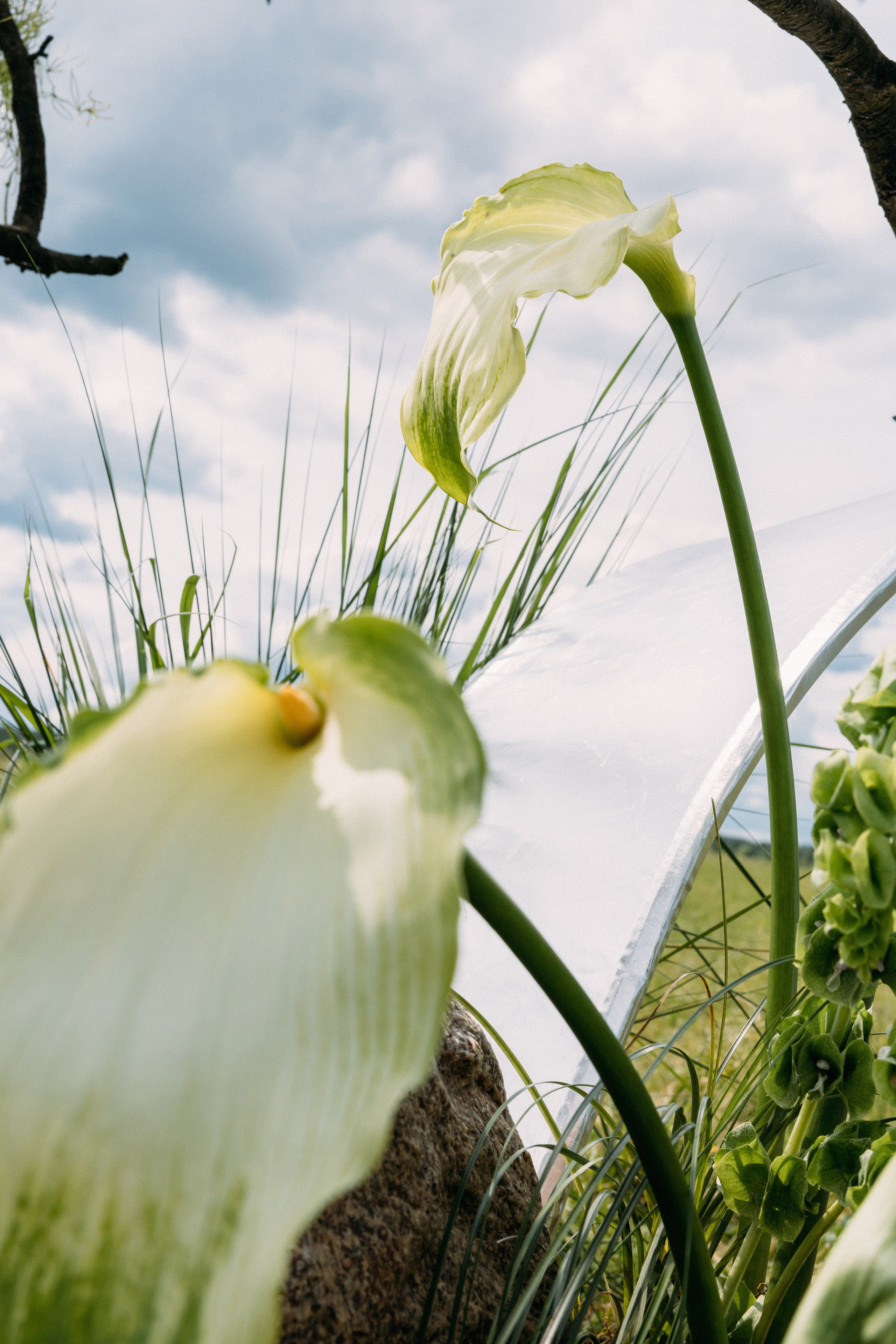 @avtors.agency. Свадебный и репортажный фотограф в Москве Владимир Сергеев | Naysaikolo