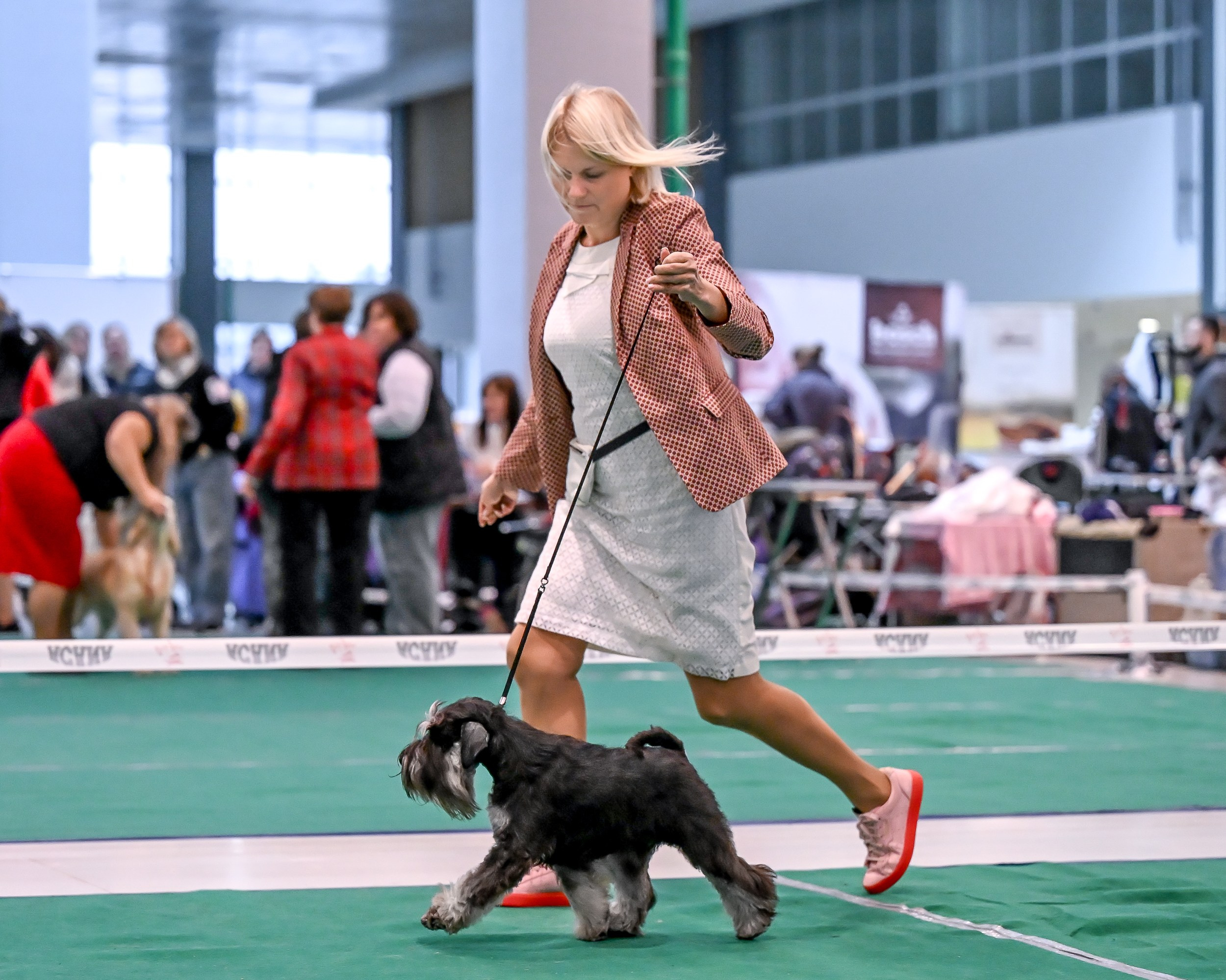 Delinso Balance Chivas Regal (Li Mu Zi Chinese Dragon x Delinso Balance Onyrico Tahoe)