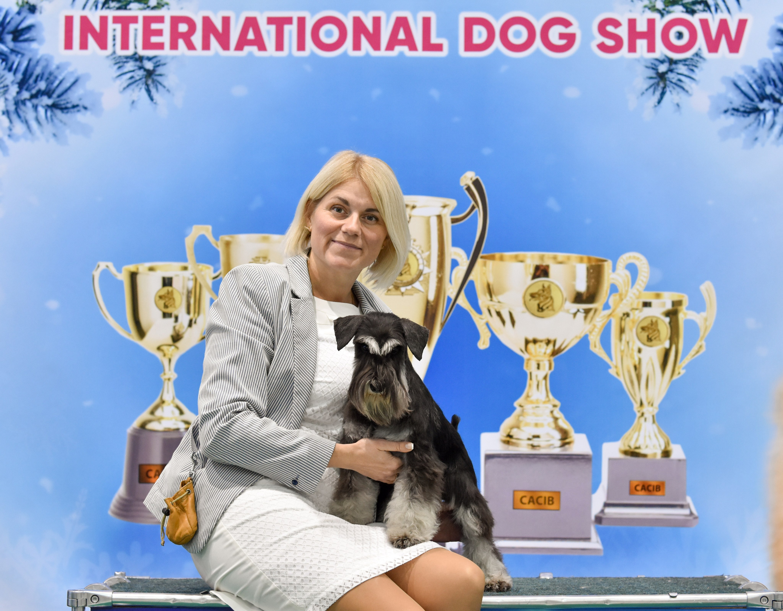 Питомник Делинсо Бэлэнс, щенки цвергшнауцера, купить щенка цвергшнауцера, питомник цвергшнауцеров, кобель цвергшнауцера для вязки, щенок цвергшнауцера, питомник цвергшнауцеров, черный с серебром, цверг, лучший питомник в беларуси