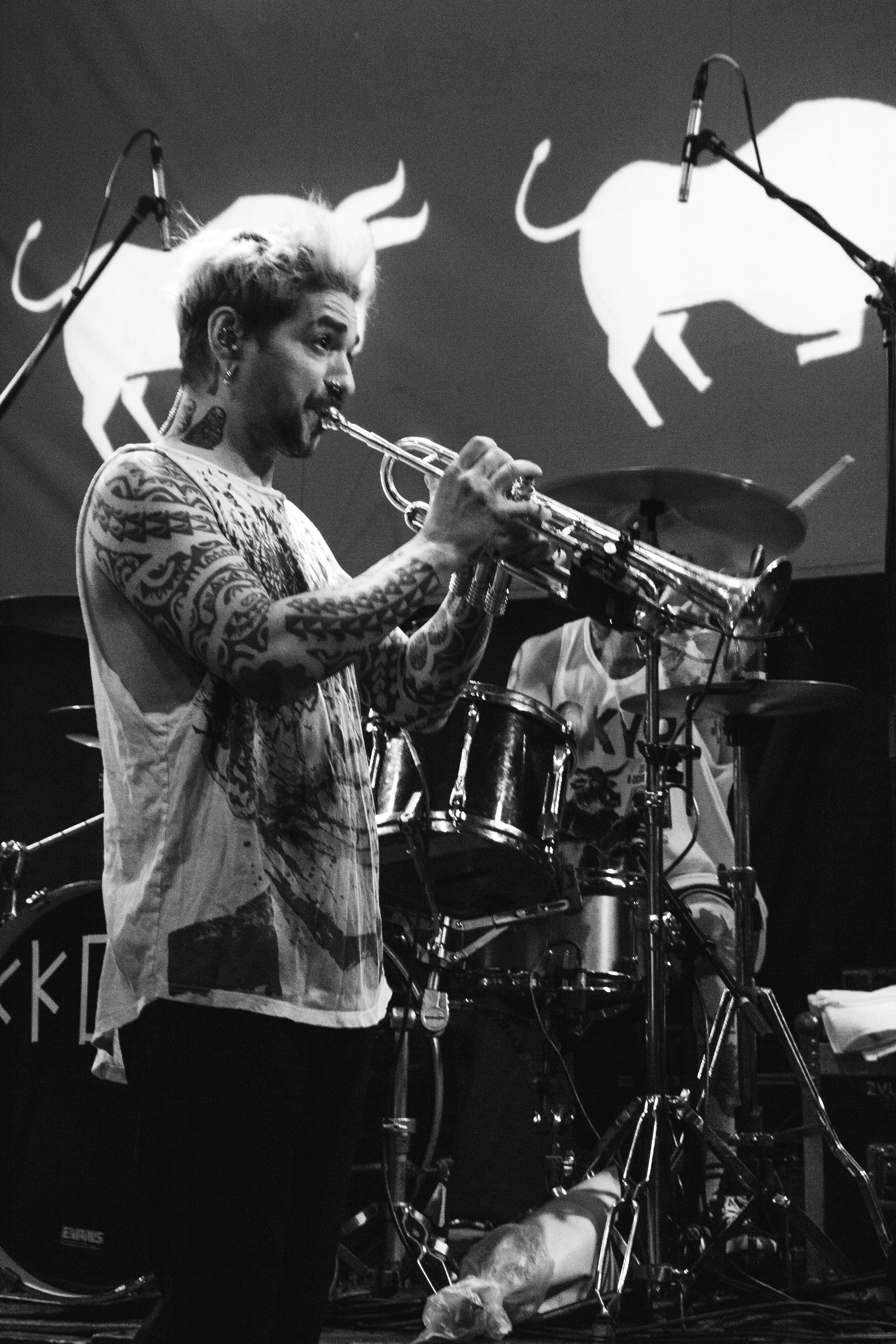 СКОТЫ | 11.12.2024 | ЛАСТОЧКА. VLADIS PISKUNOV | Концертные Фото |Репортажи