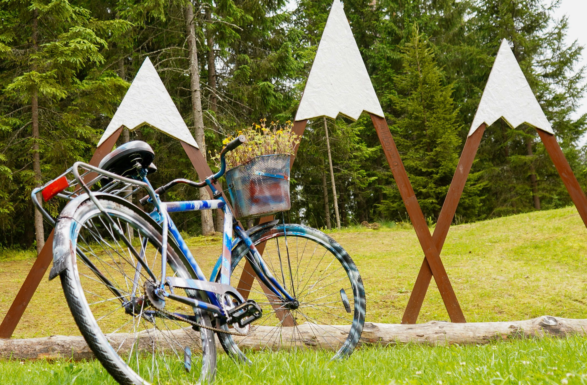 любытино отдых 