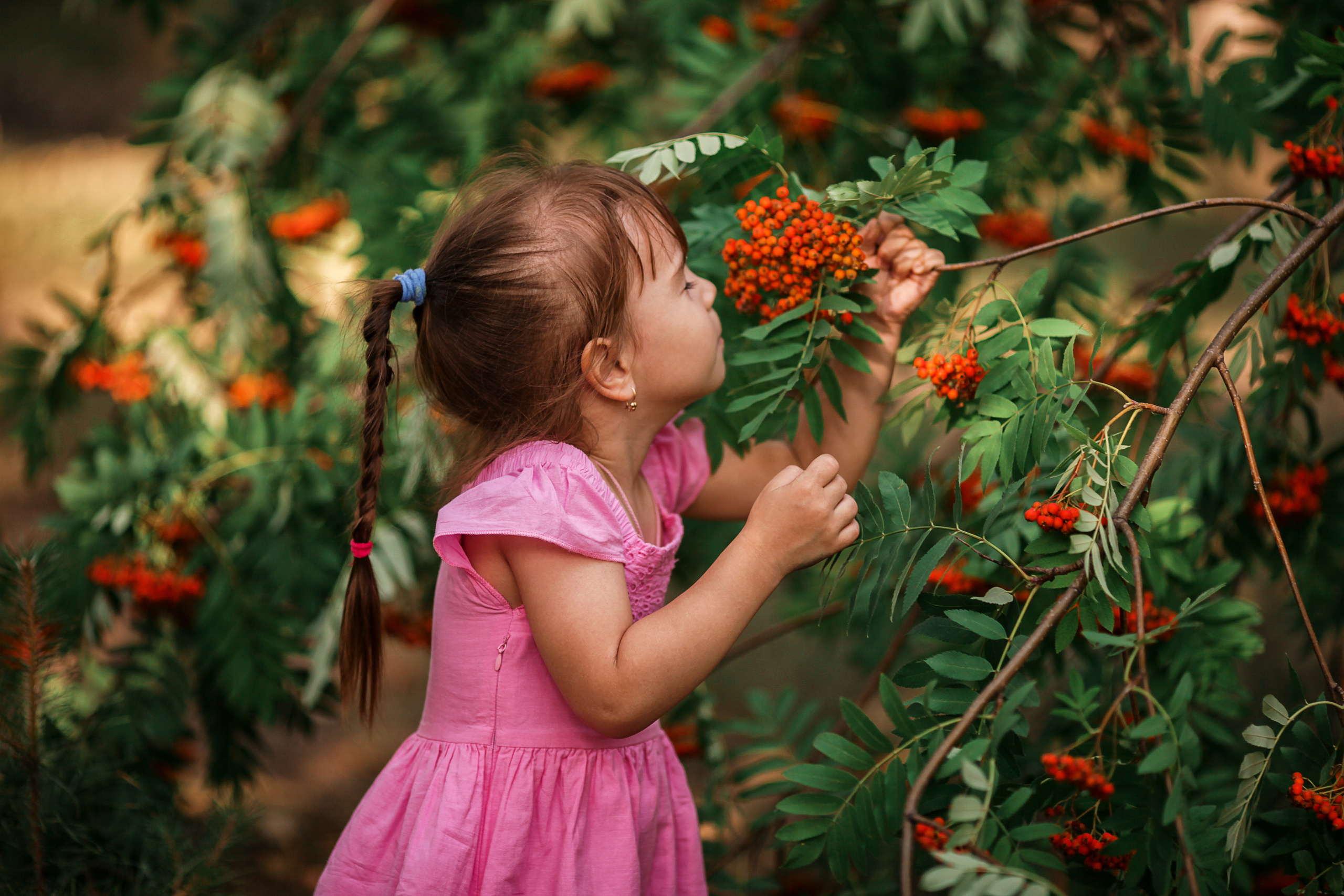 Лето красное. Фотограф Алёна Кладова