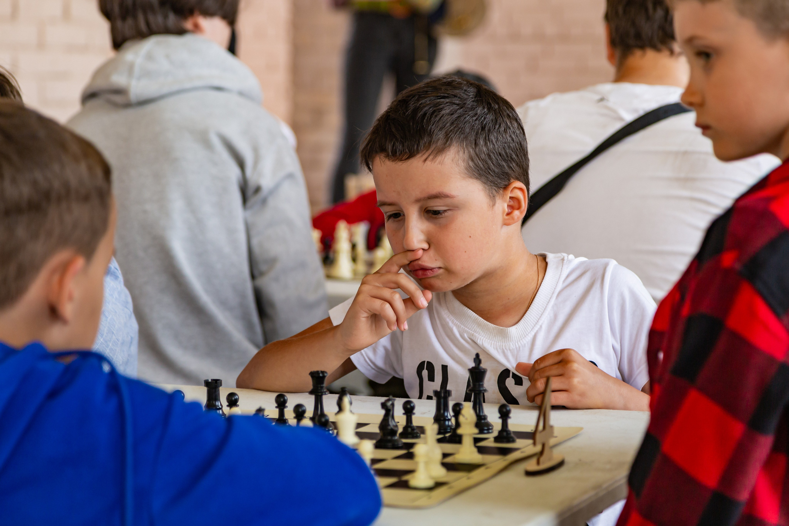 Шахматный турнир в Шушарах Санкт-Петербург. Светлая сторона