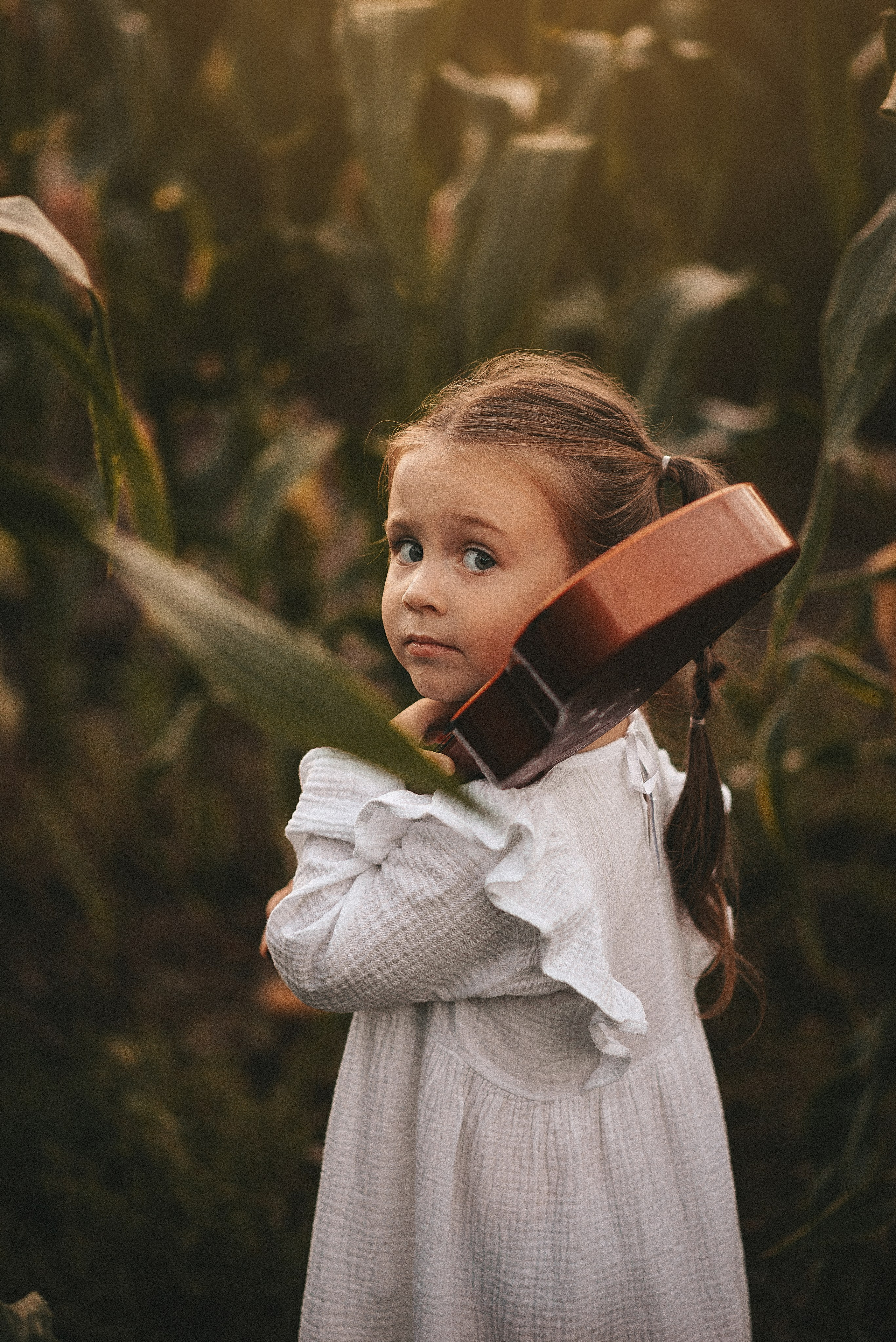 На солнце вдоль рядов кукурузы…. Ваш фотограф Ирина Гущанская