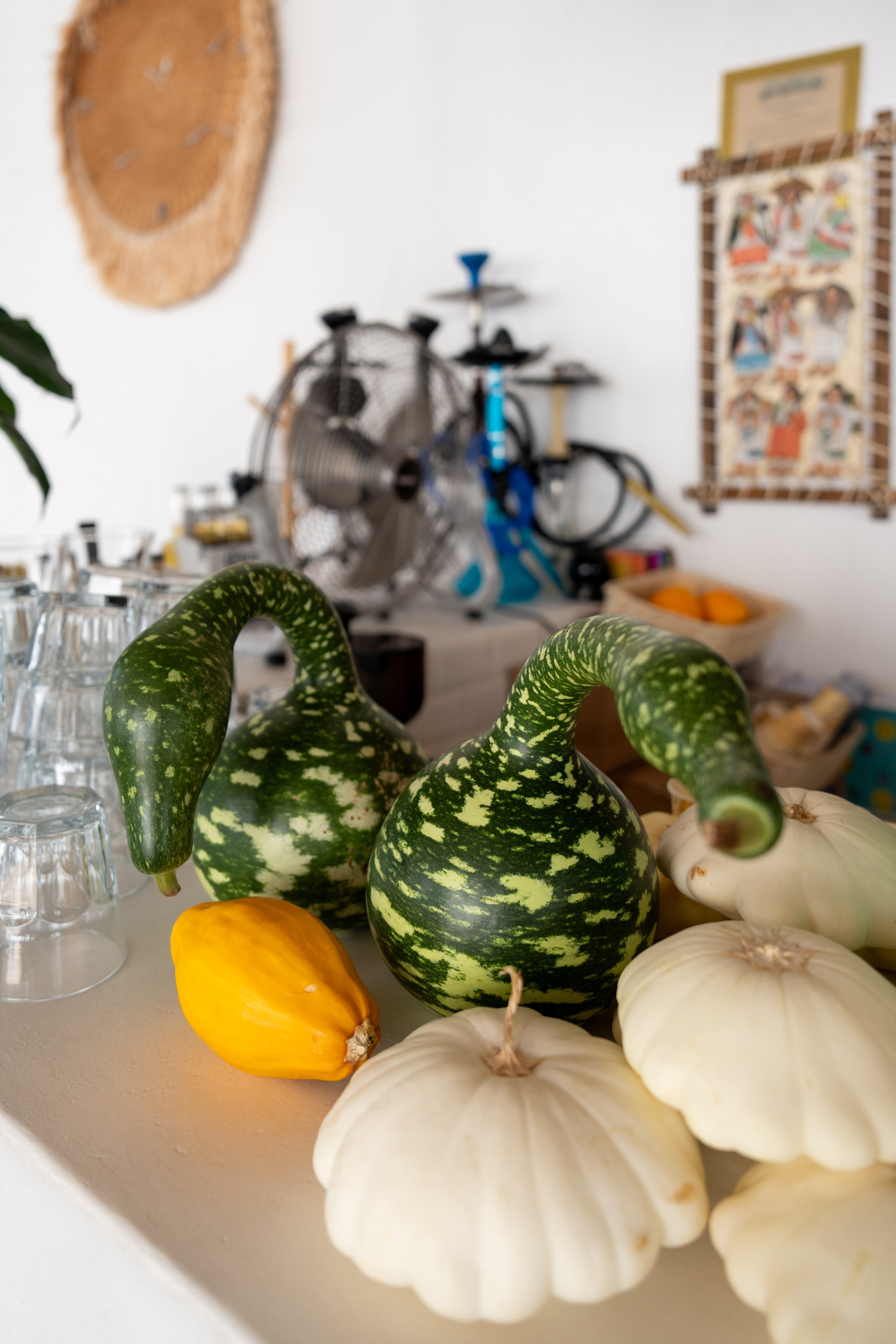 Mice мероприятие — тур по Абхазии. Репортажный фотограф в Красной Поляне и Сочи Павлюченко Екатерина