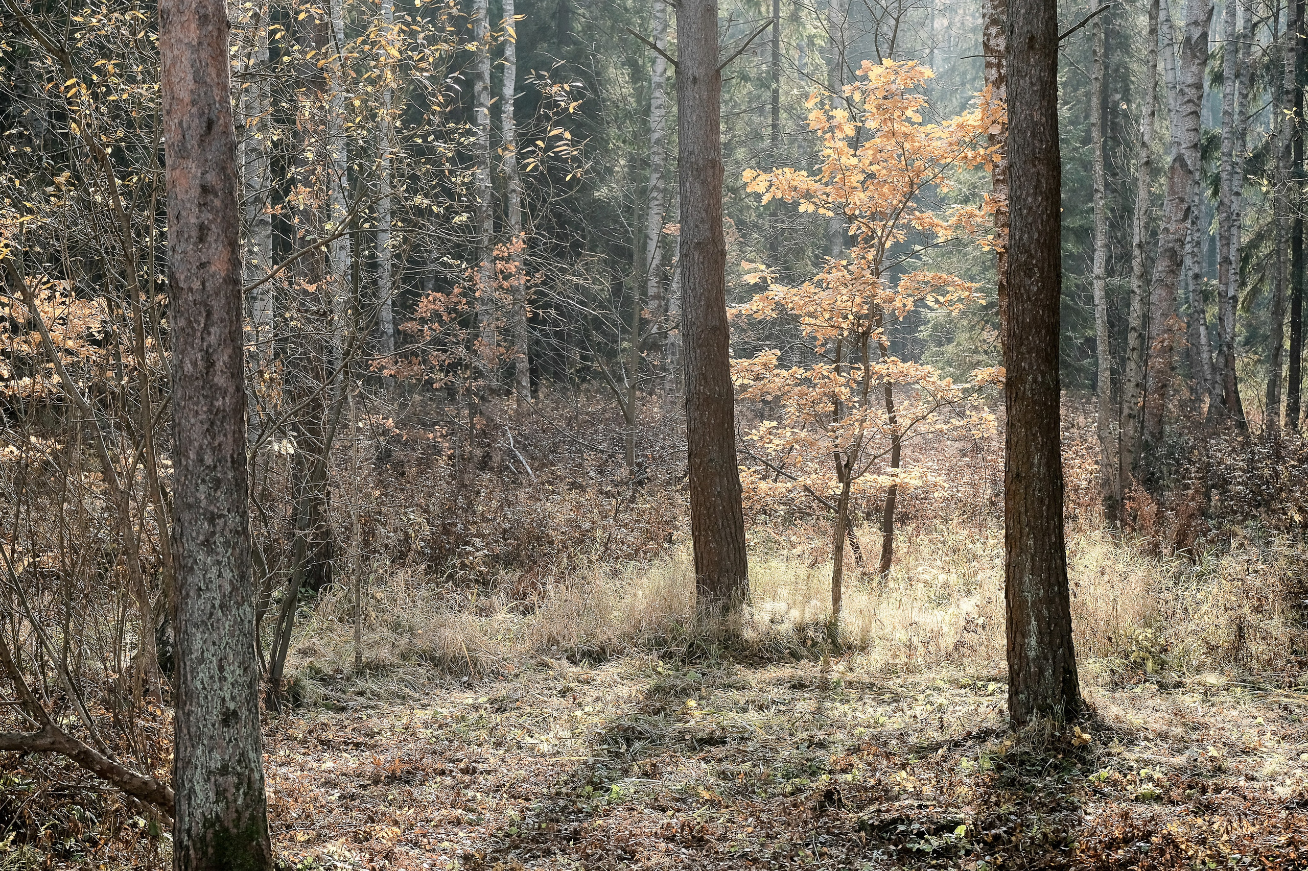 Пейзажи. Фотограф Дмитрий Алексеев
