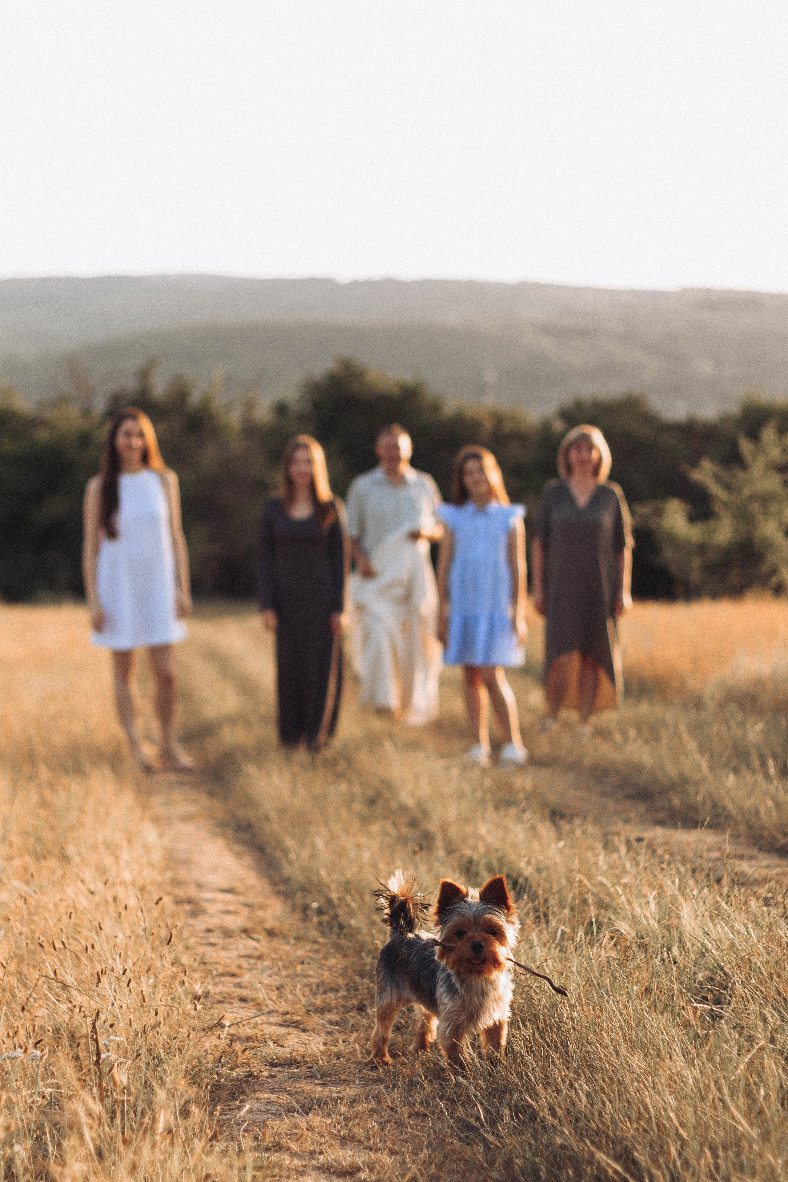 Дмитрий и Наталья с дочками. Фотограф в Краснодаре Ксения Мархинина