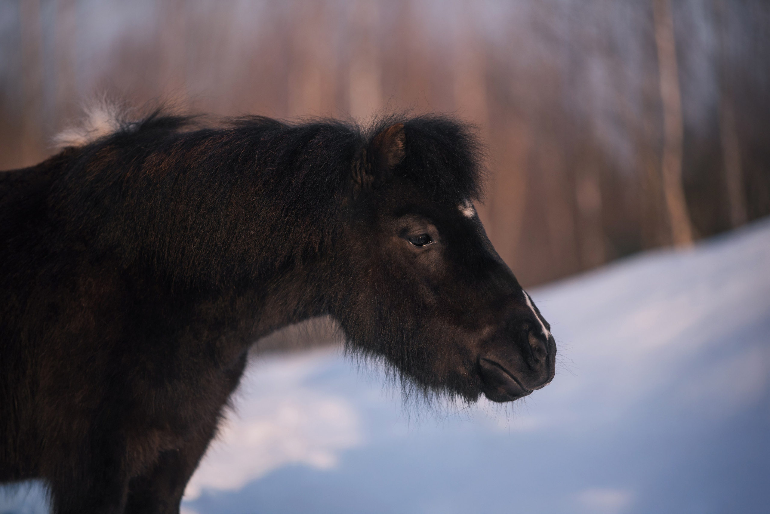 Кантри Клаб. Фотограф Анна Тюрина
